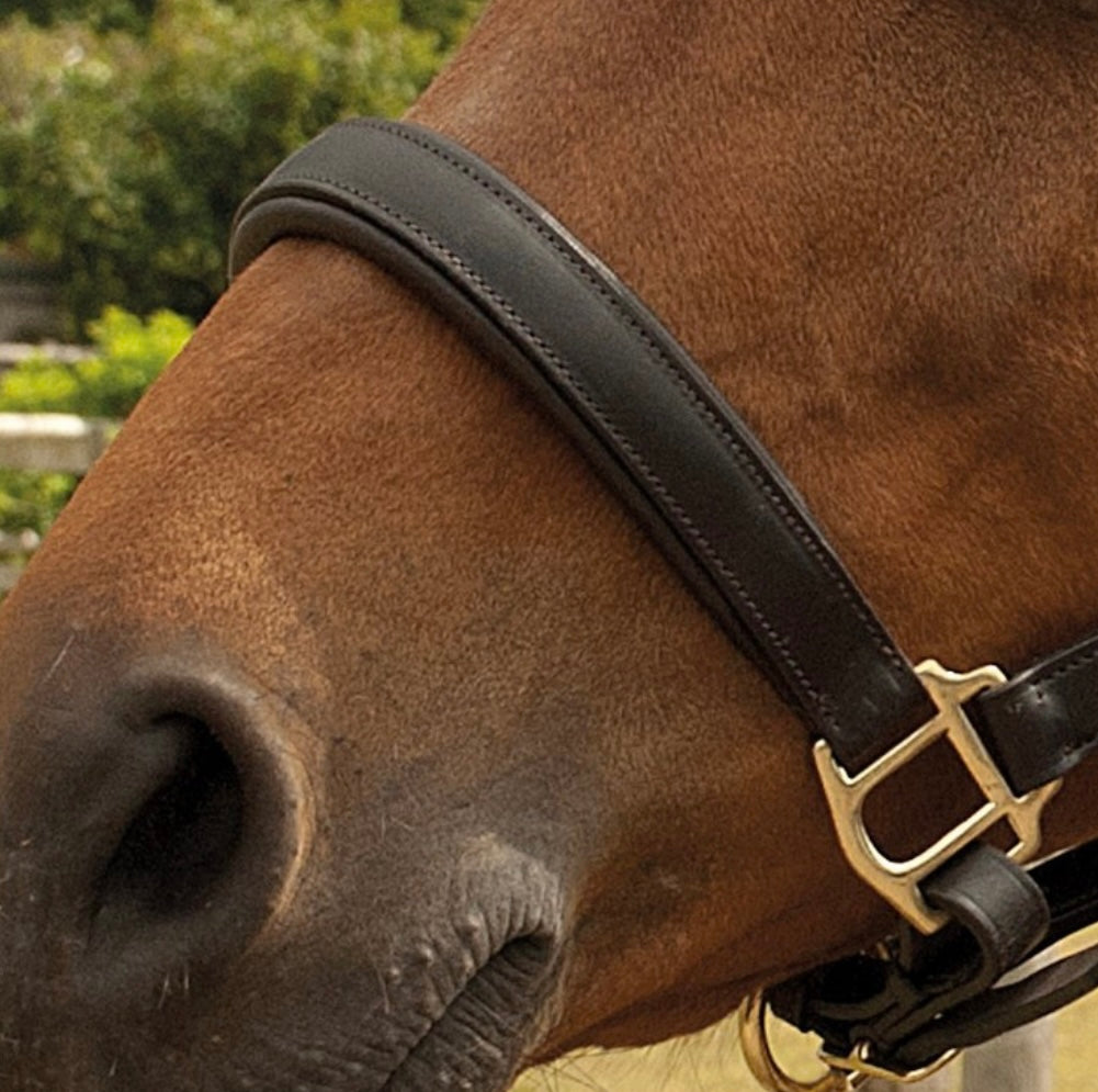 New heritage padded leather headcollar with brass fittings ❣️