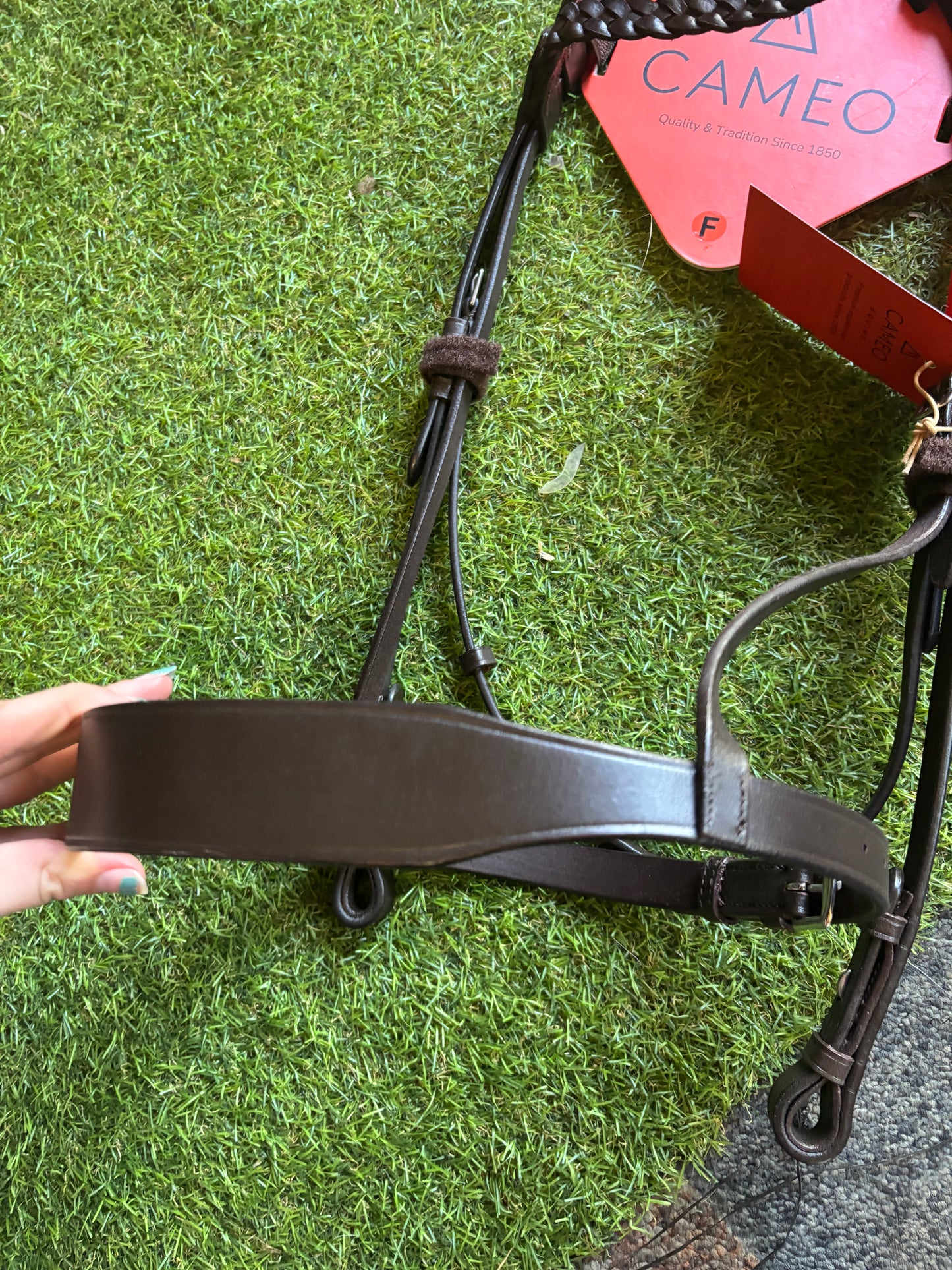 New cameo Hunter is bridles complete with 2 browbands ❣️