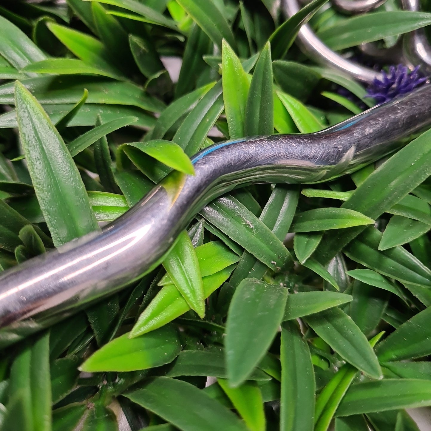 5 1/4" Double/Weymouth Bit