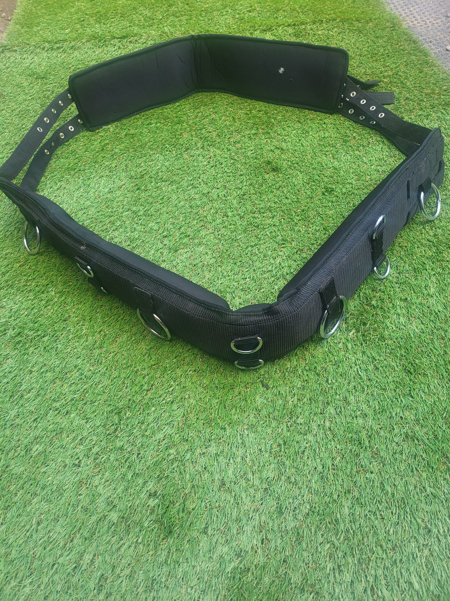 Lunging training aid, cob size
