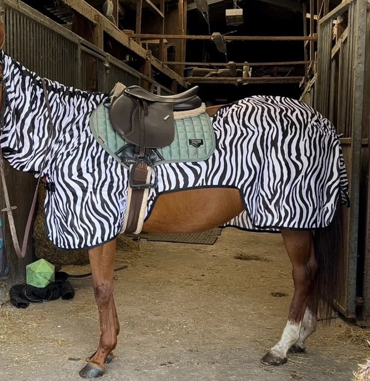 New combo zebra fly ride on rugs ❣️