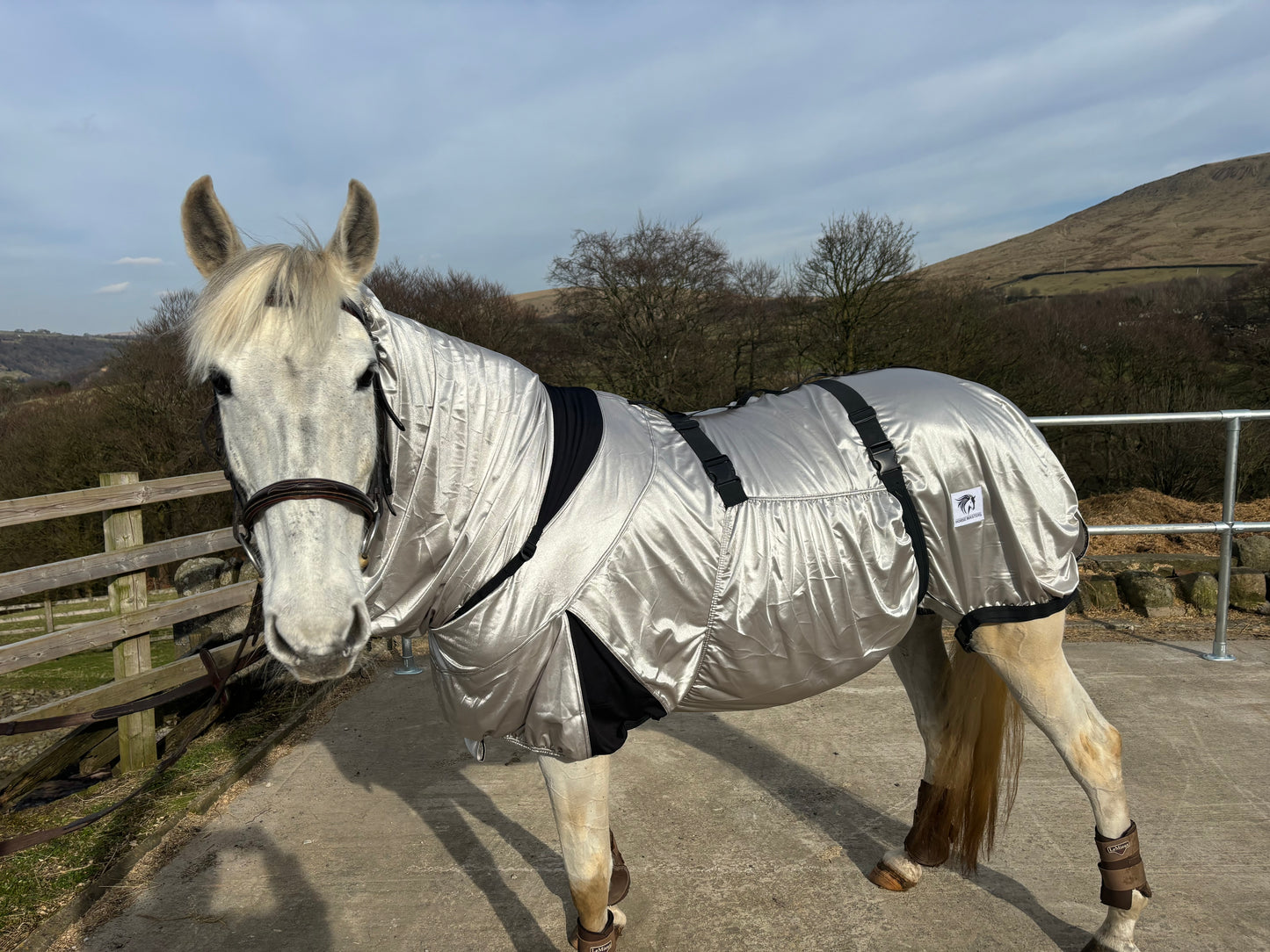 New Boet style rugs complete with detachable belly ❣️