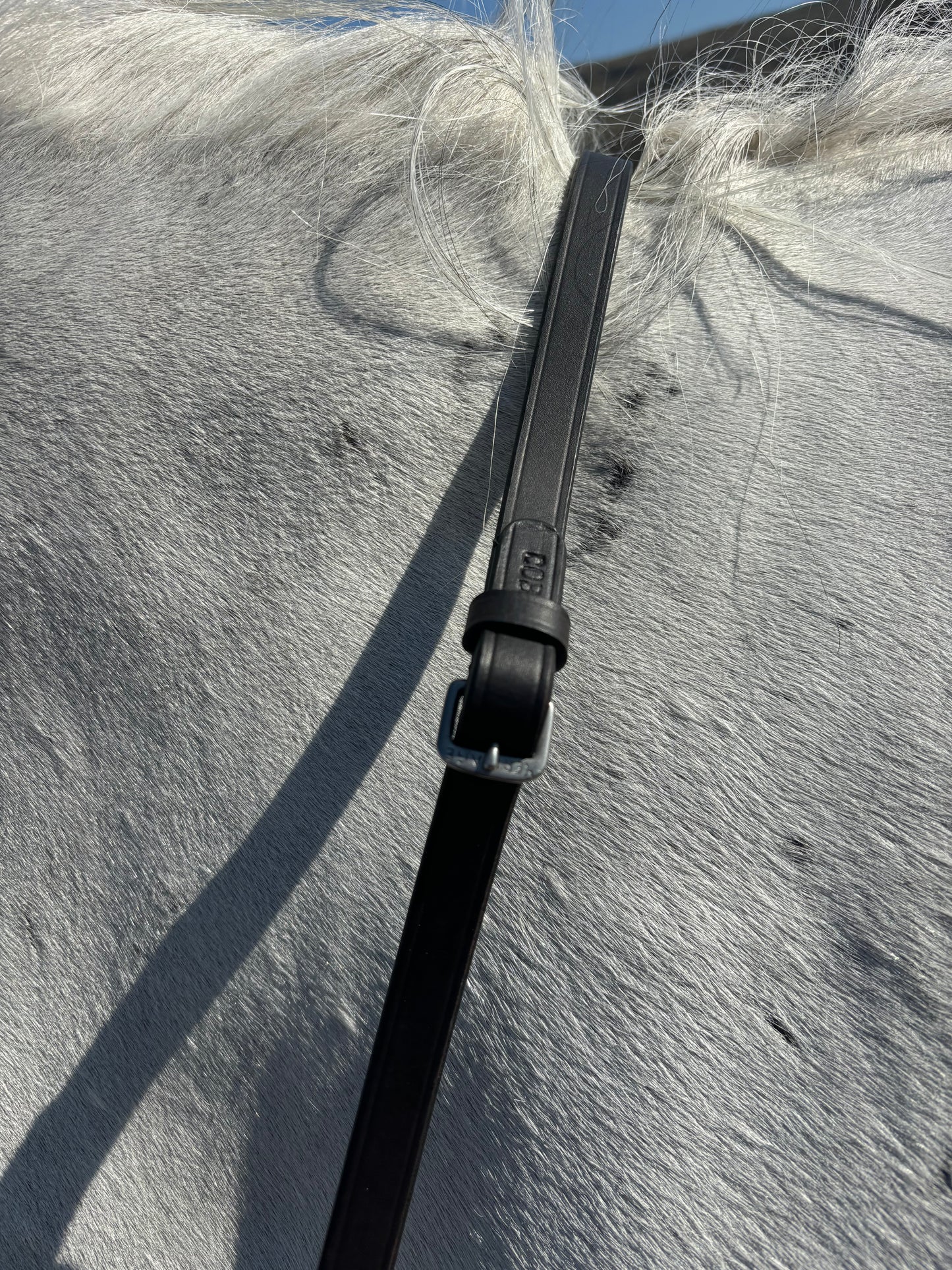 New heritage saddlery English leather hunter bridle ❣️