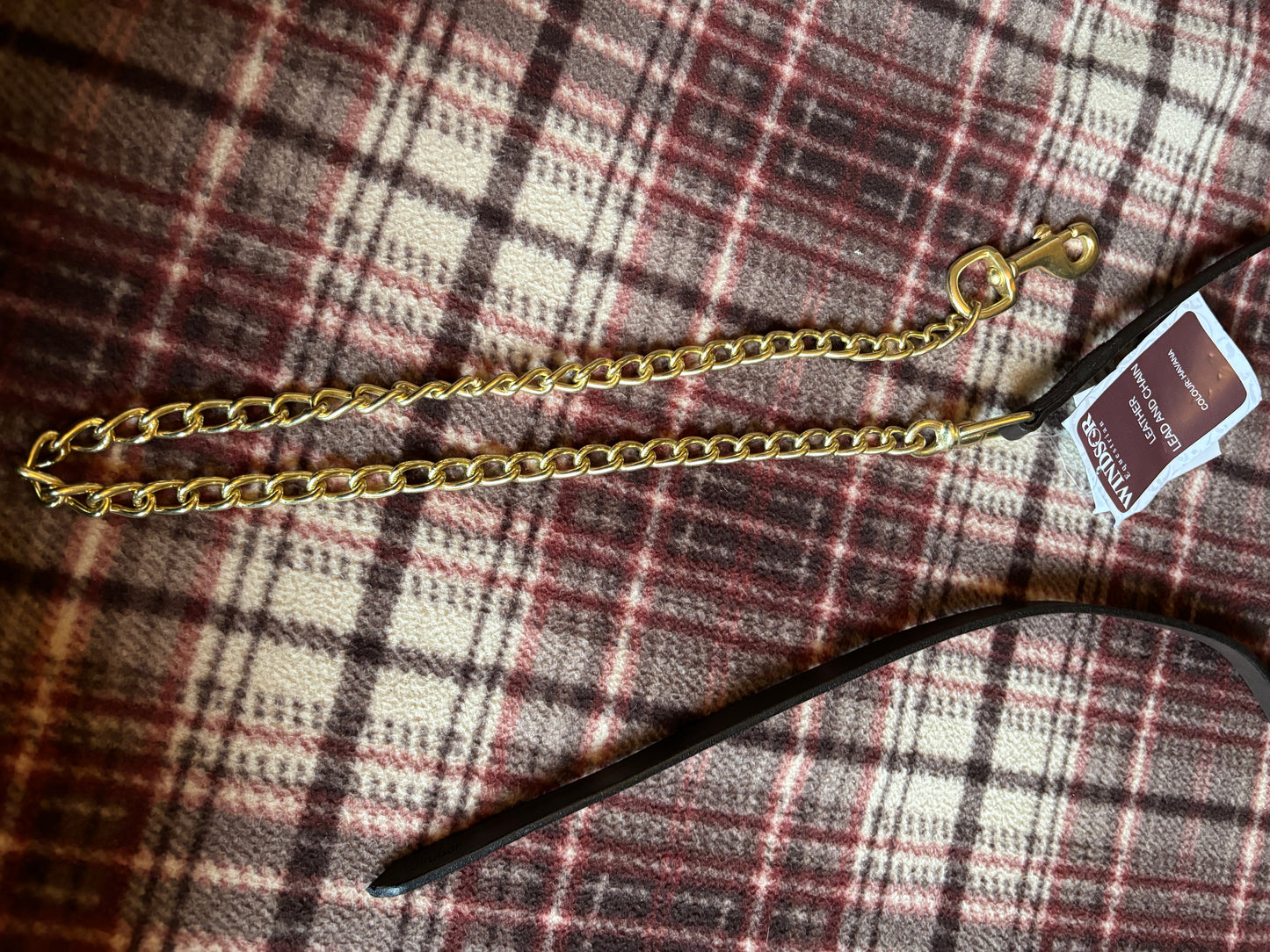 New Windsor lead with chain