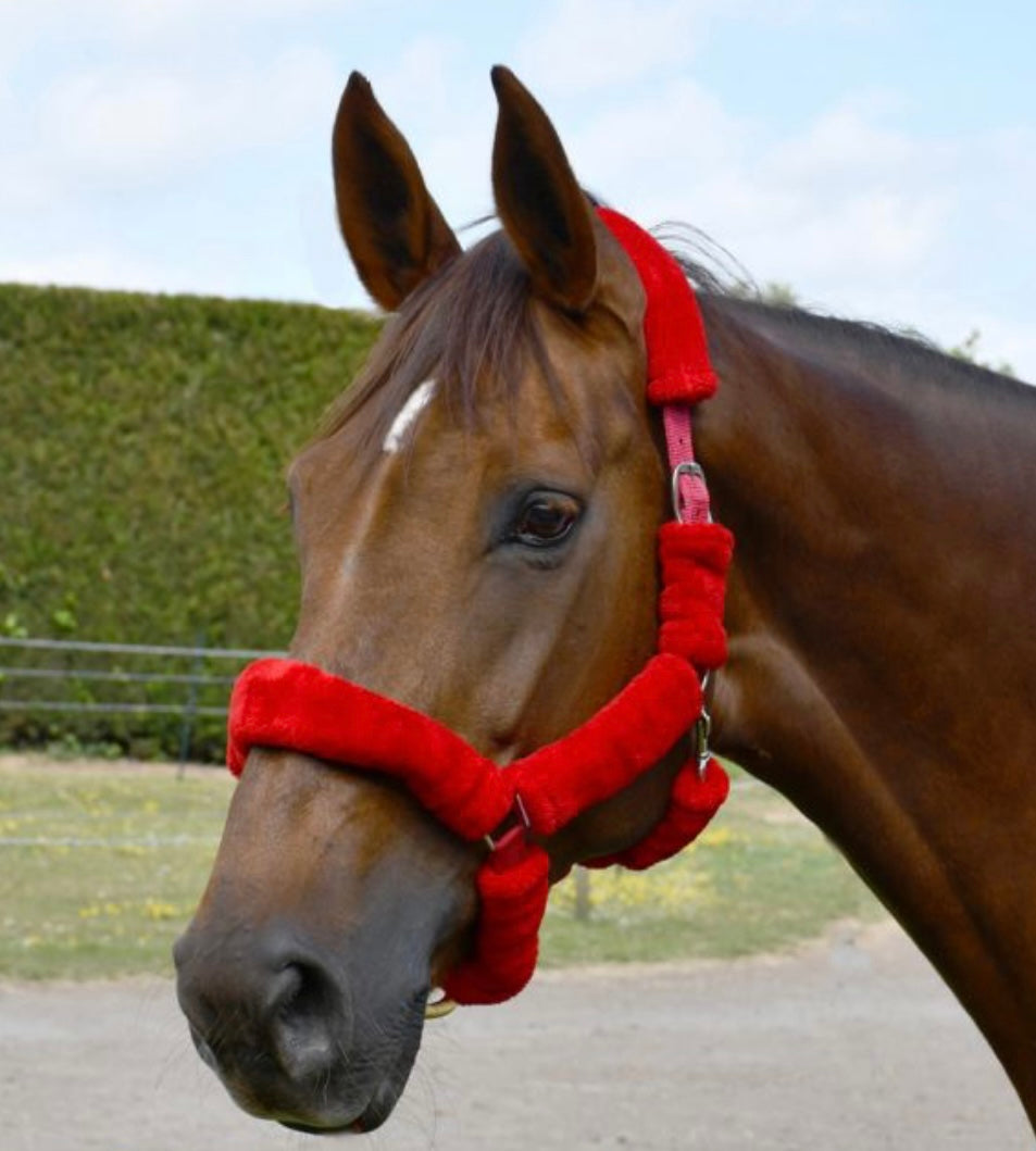 New fleece padded fluffy head collars ❣️