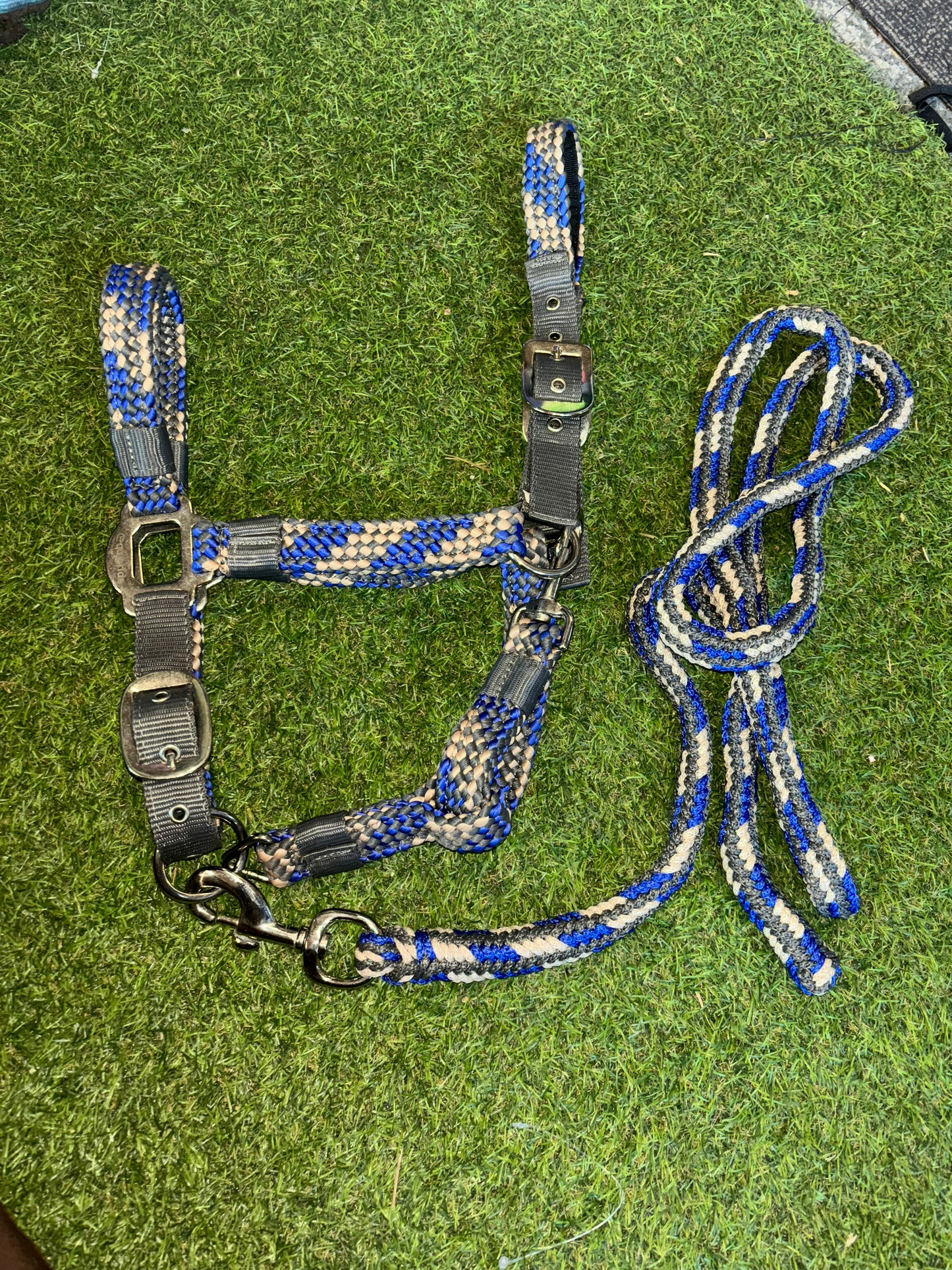 New deluxe rope style head collars with matching lead rope ❣️