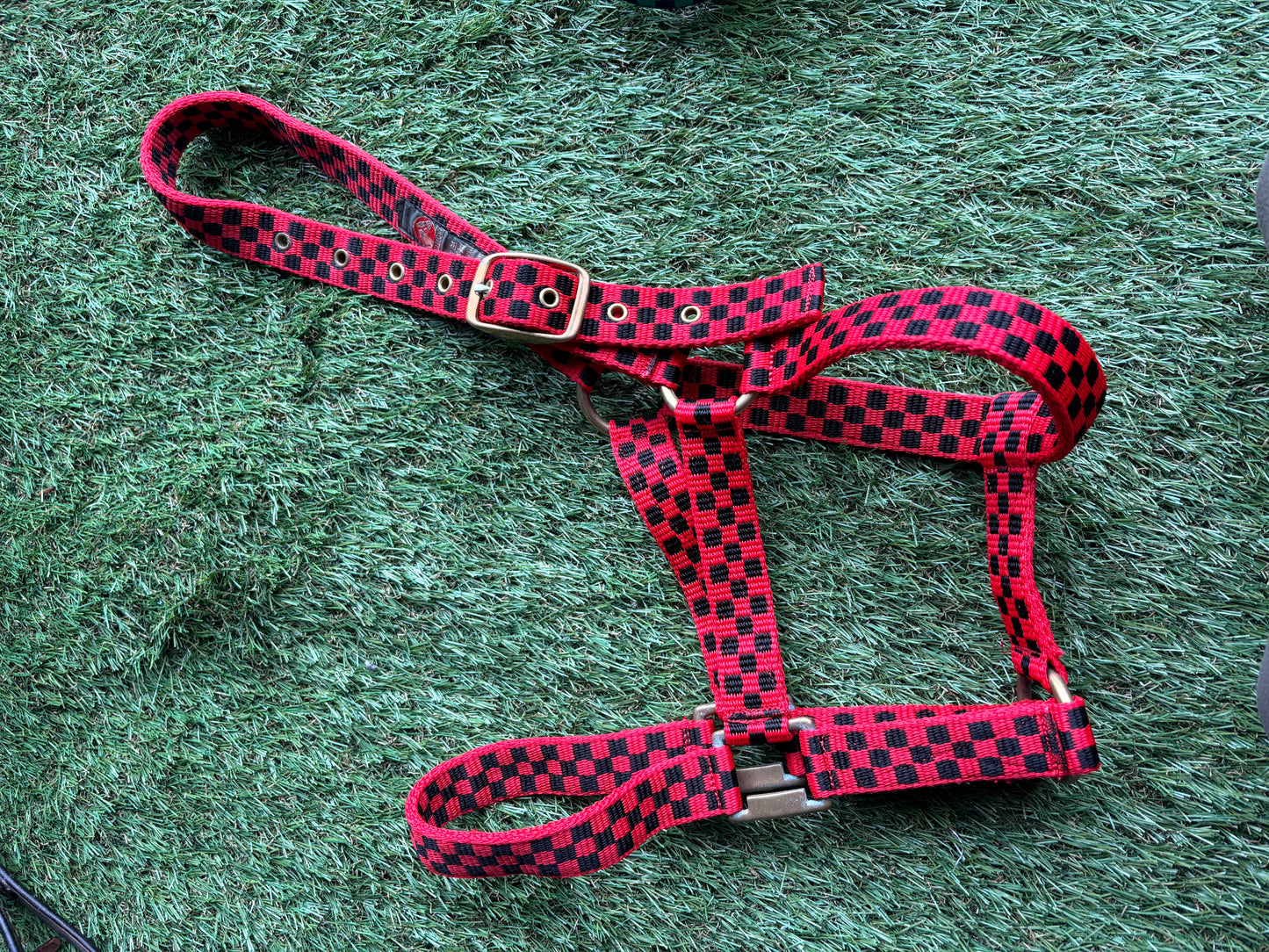 Used check pattern head collars🩷