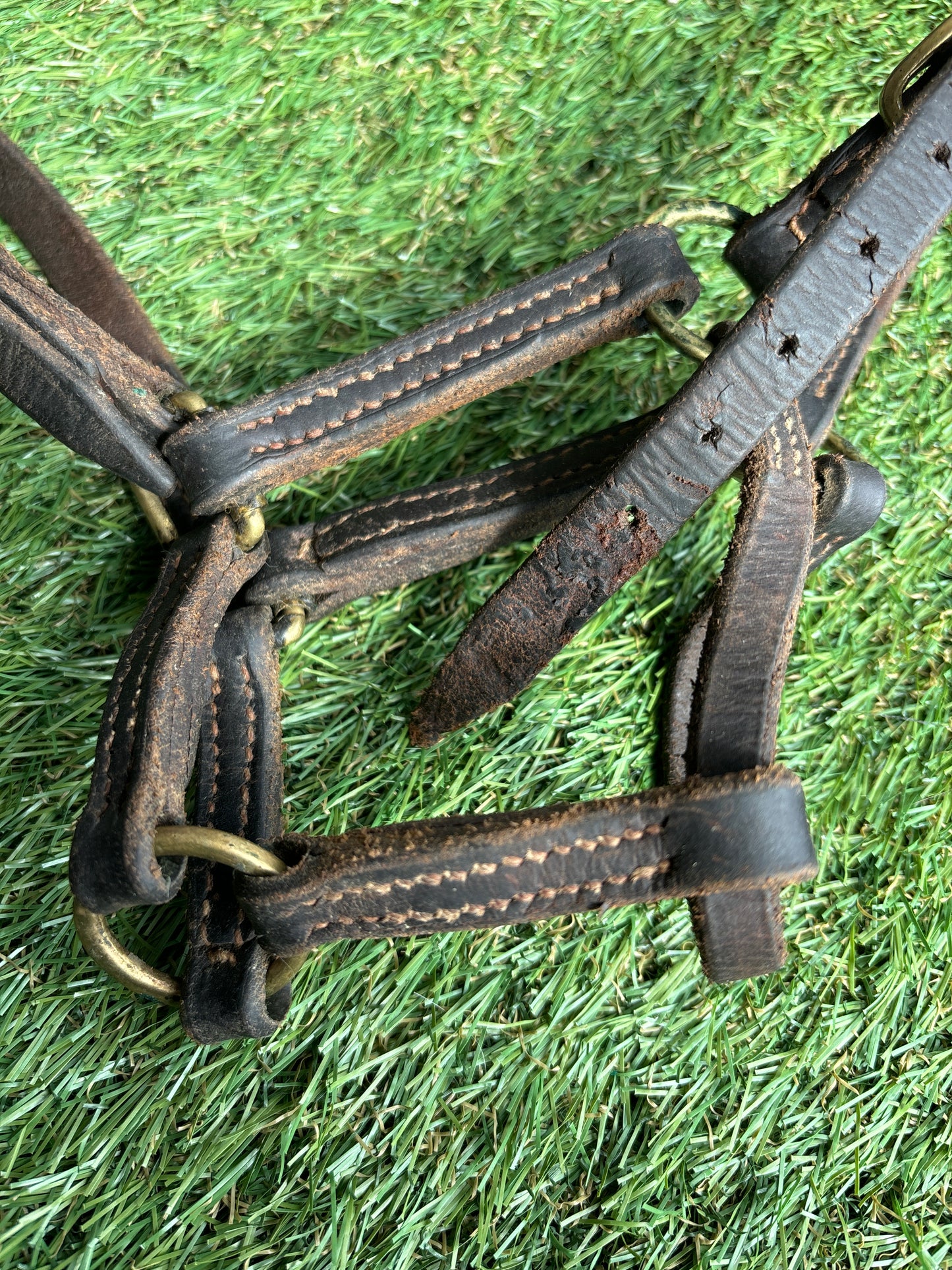 Brown leather foal head collar 🩷