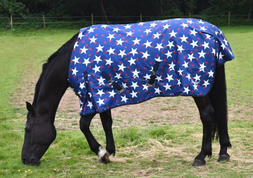 Rhinegold ‘Star Design Torrent’ Outdoor Rug - 4'6 To 7'0