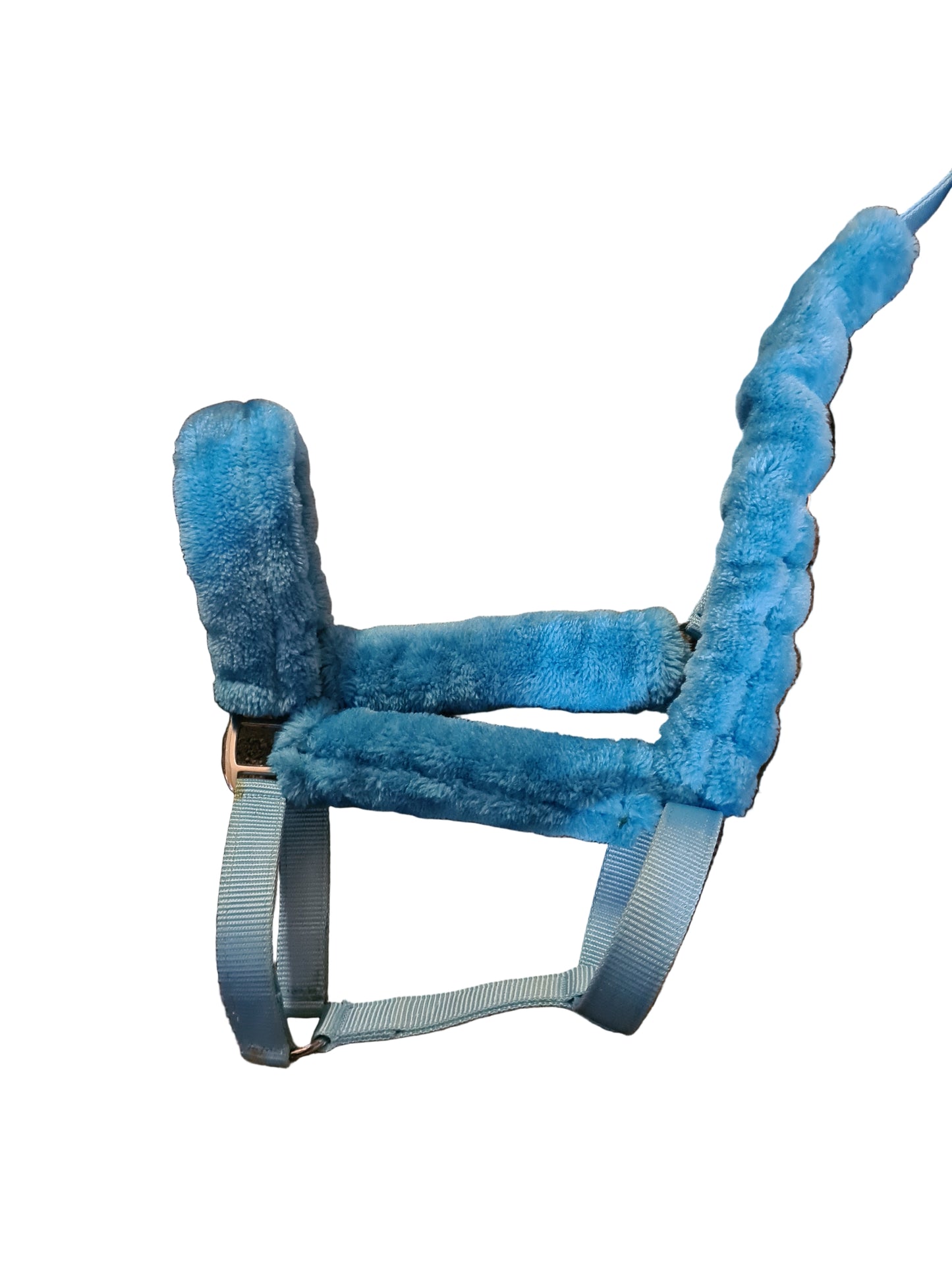 Blue fluffy headcollar never been used full size