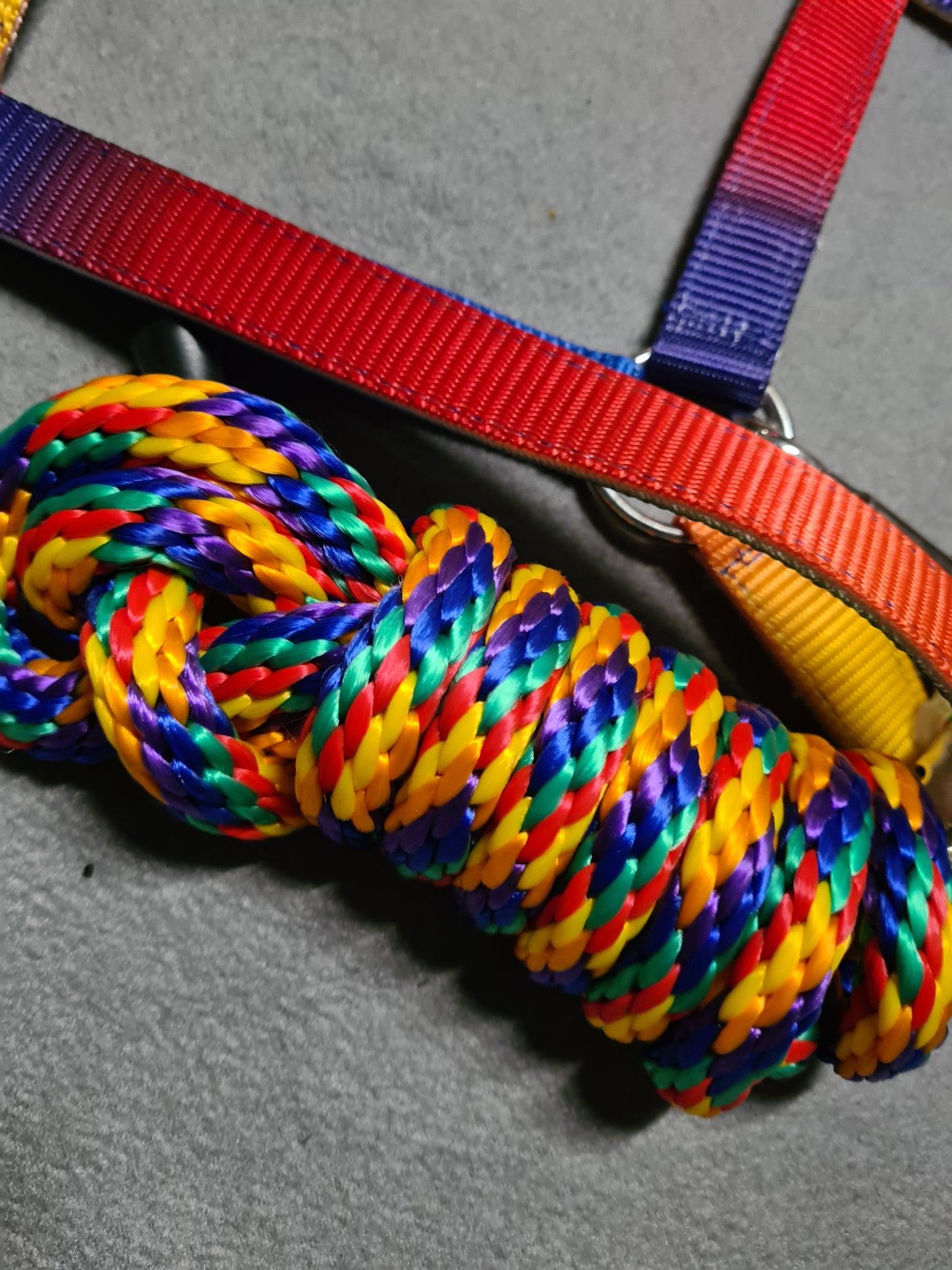 NEW rhinegold rainbow headcollar and lead rope set sizes available cob and full