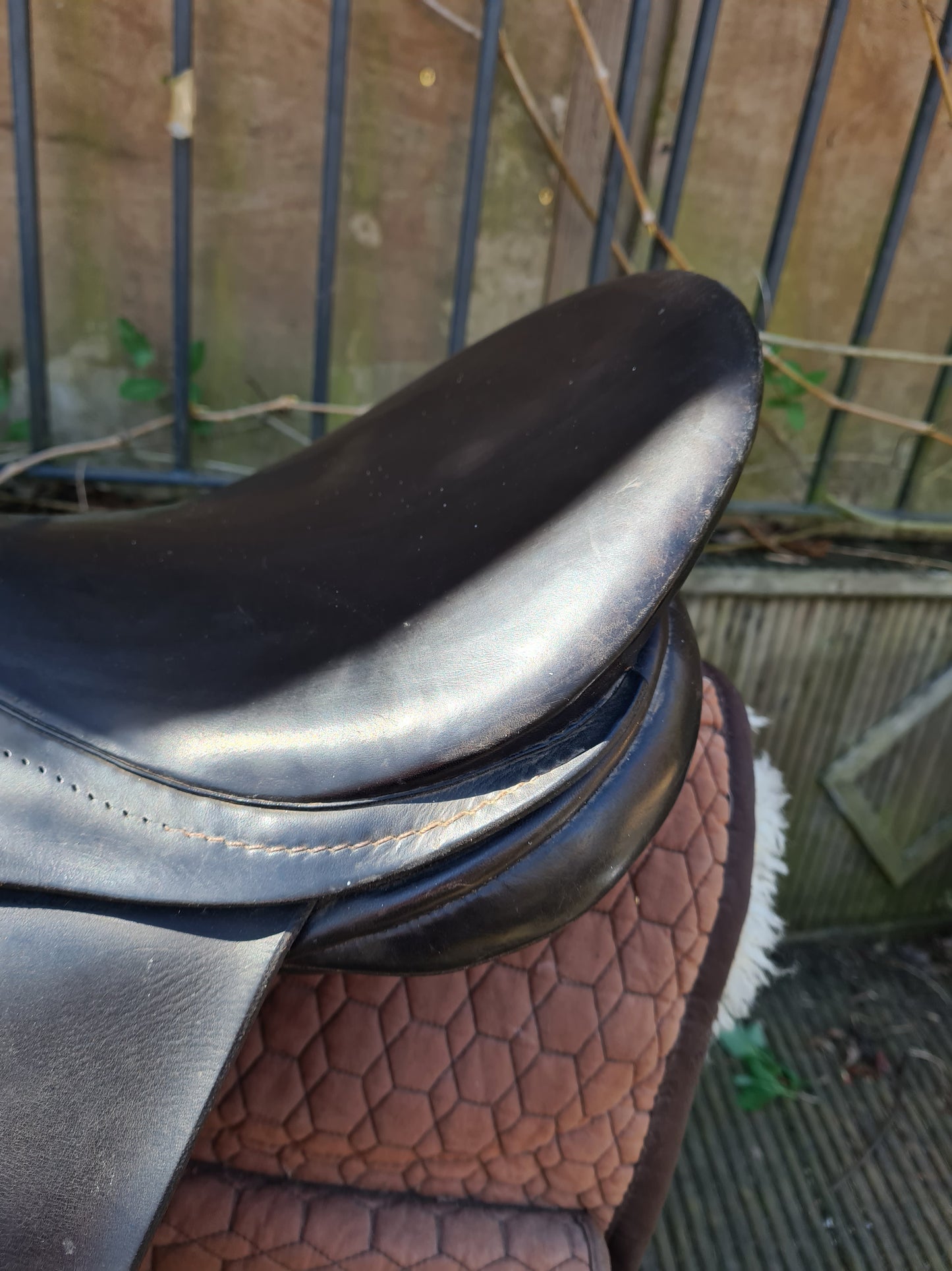 17.5" black Orion working hunter Med fit