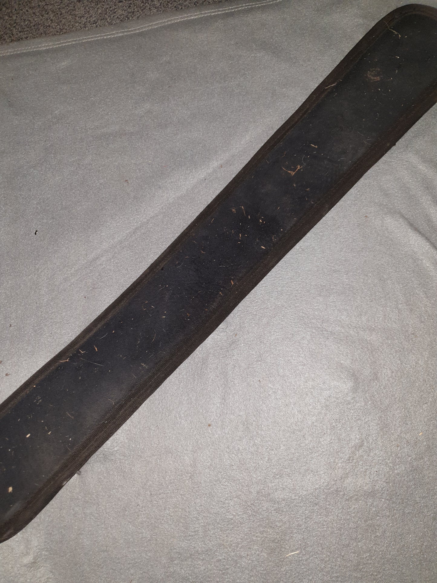 Used red and black 24" dressage girth