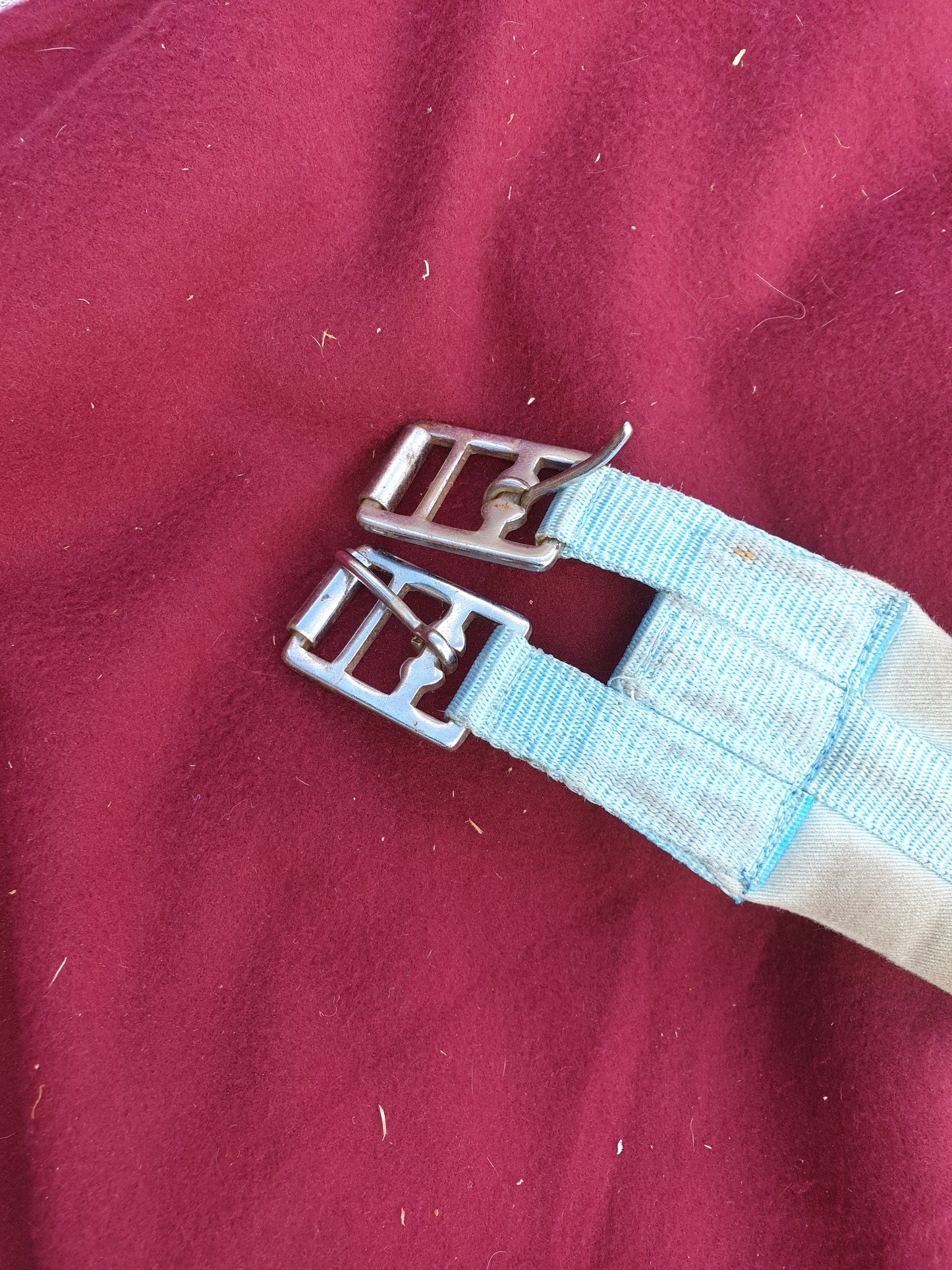 Used blue 44" cotton girth padded