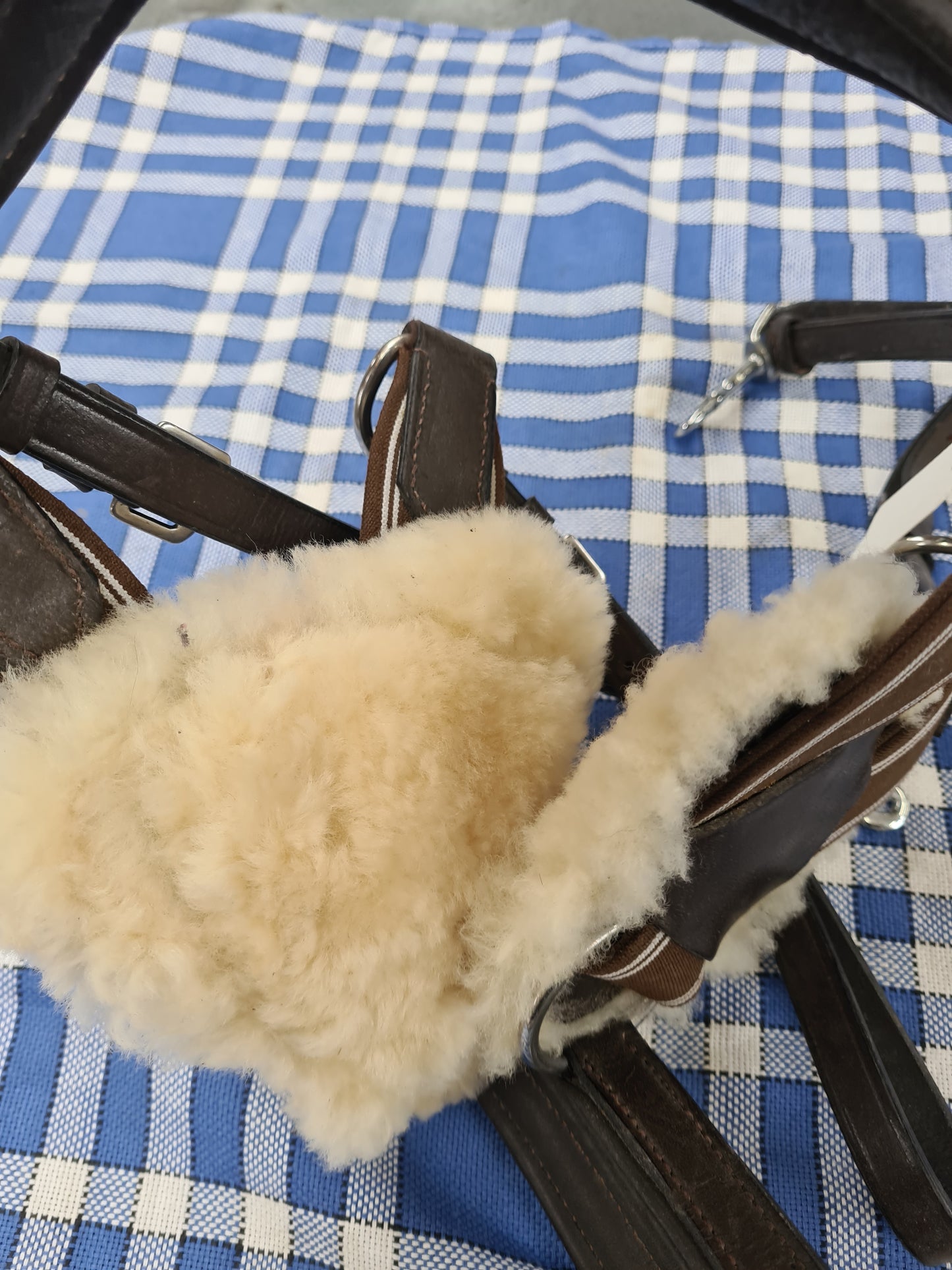 5 point breast plates brown and black in pony and cob