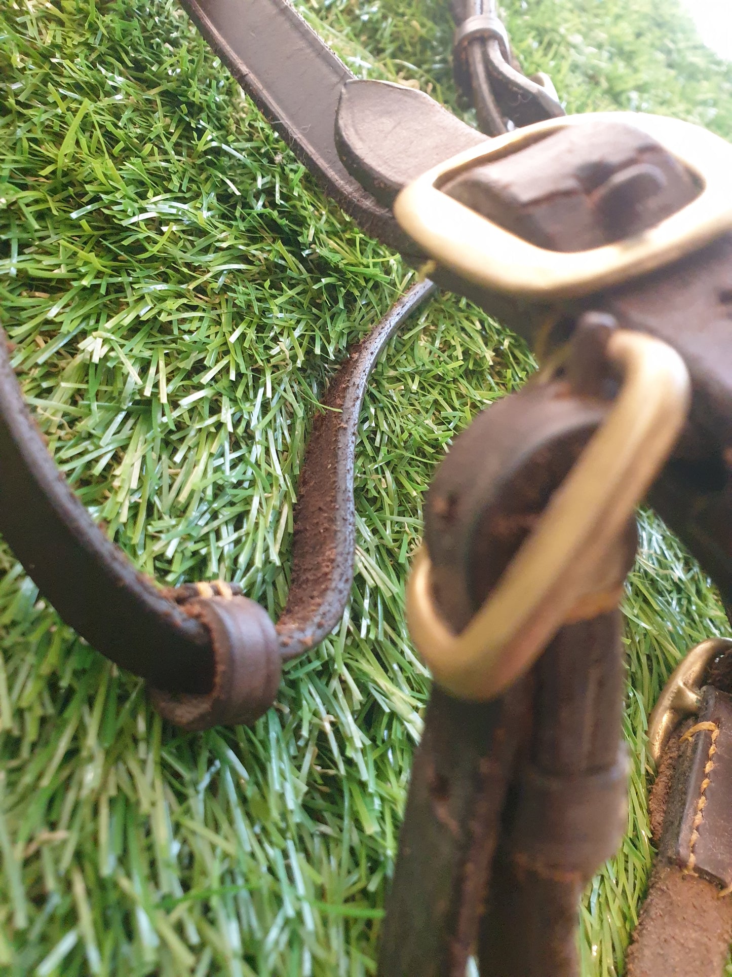 Brown full size leather In hand bridle with brass fittings