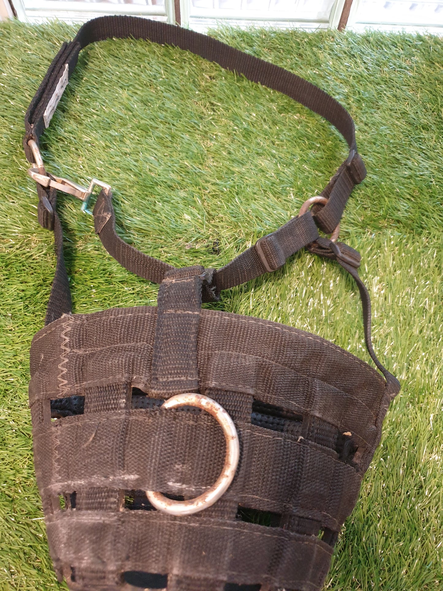 Full size shires grazing muzzle