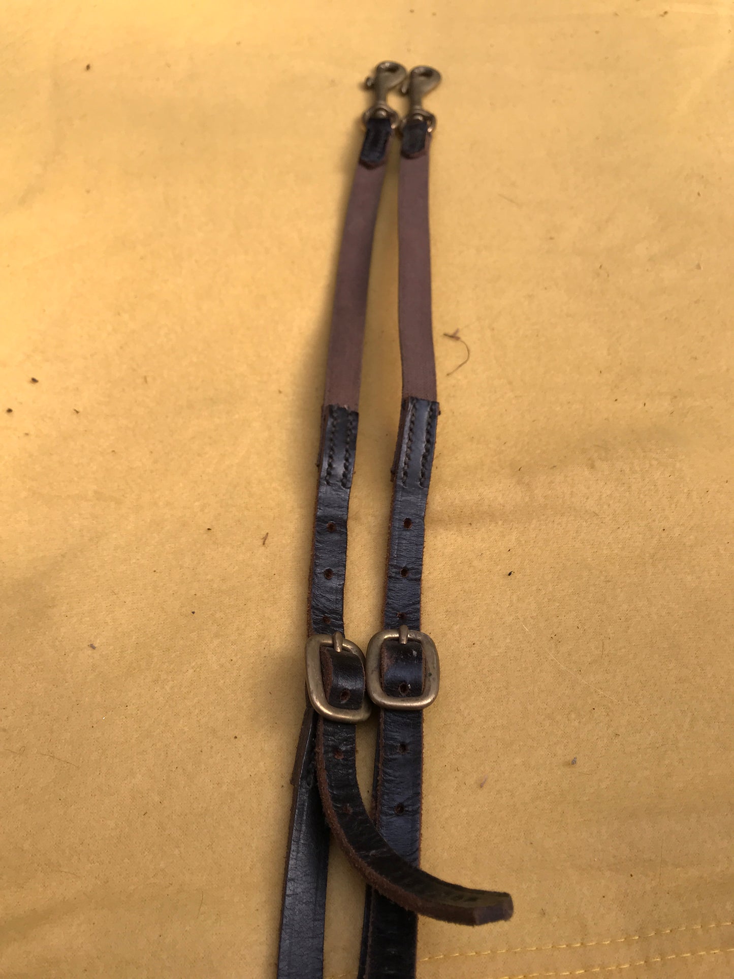 brown bungee martingale pony