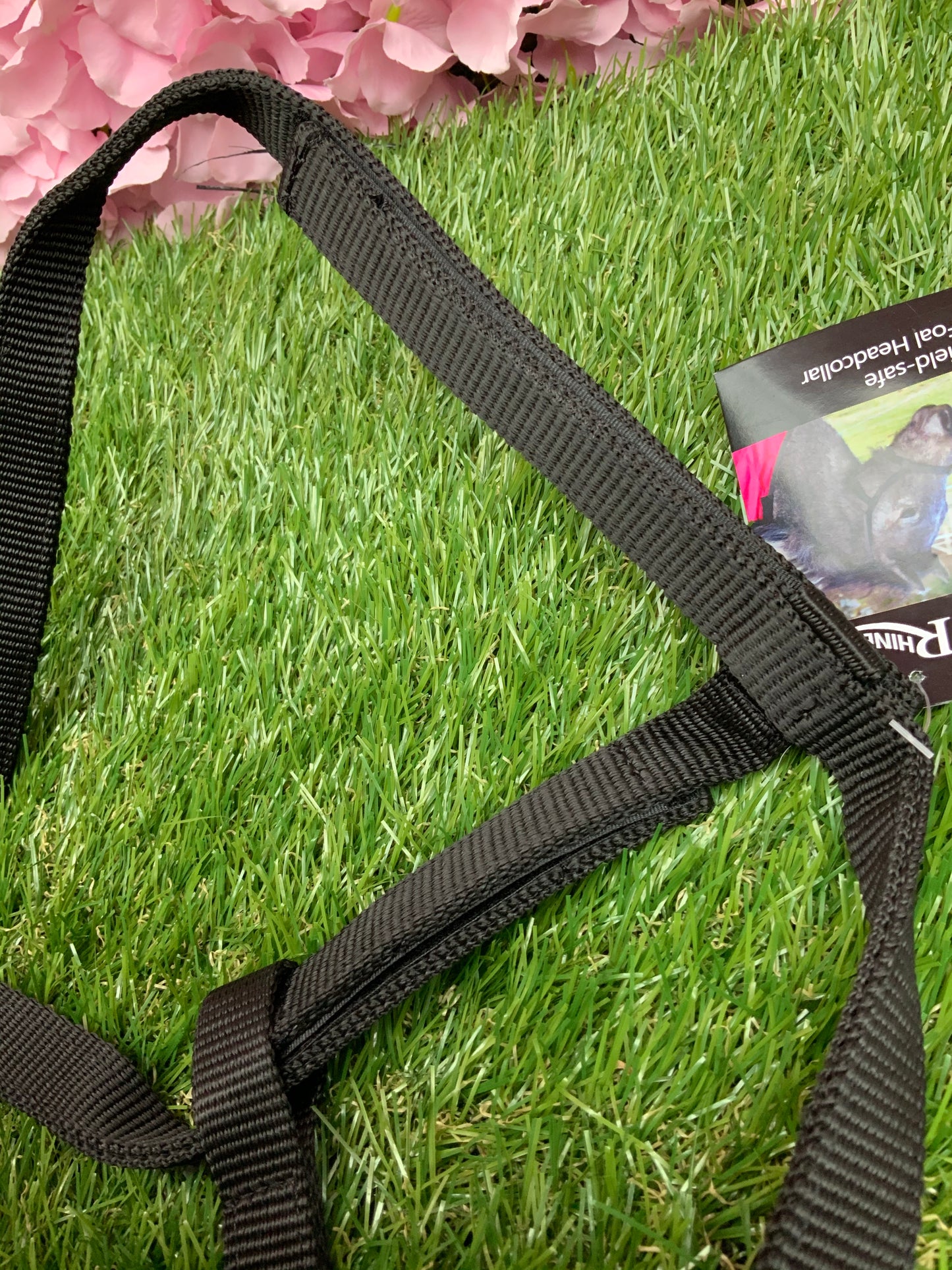 New Rhinegold black foal field safety head collar