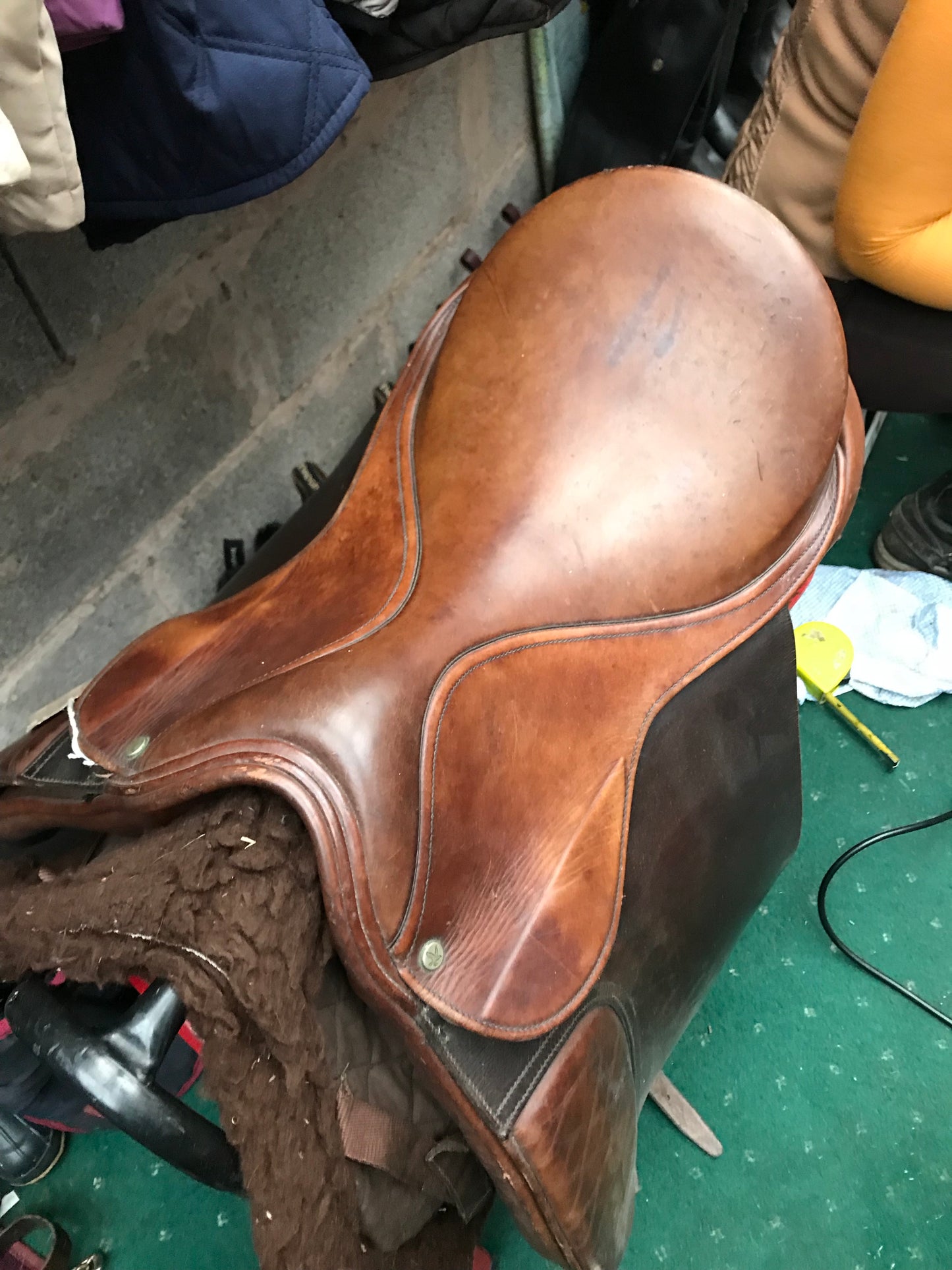 17” Falcon Dressage Med FIT