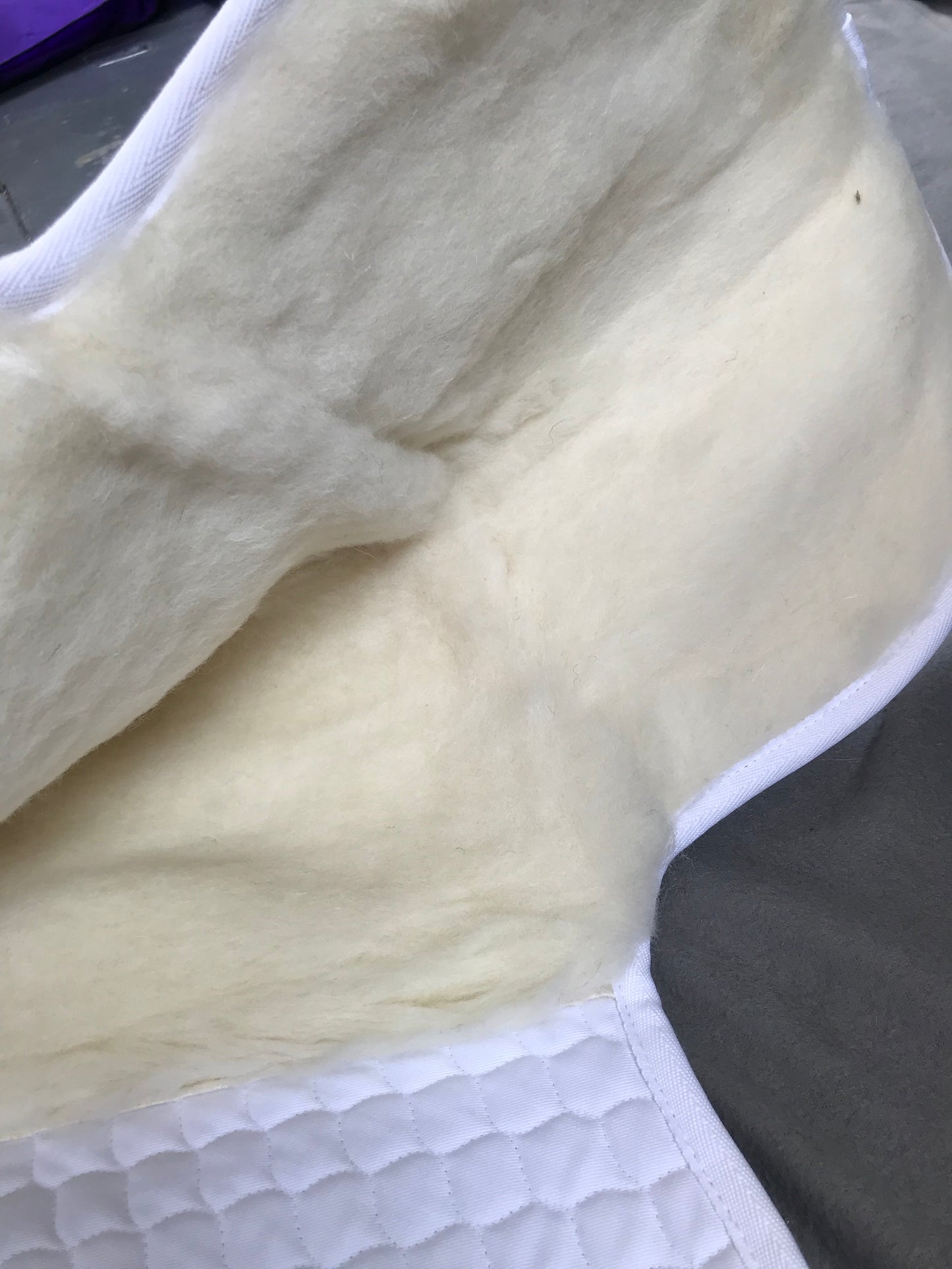 New nuumed hiwither half wool numnah go cob size FREE POSTAGE*