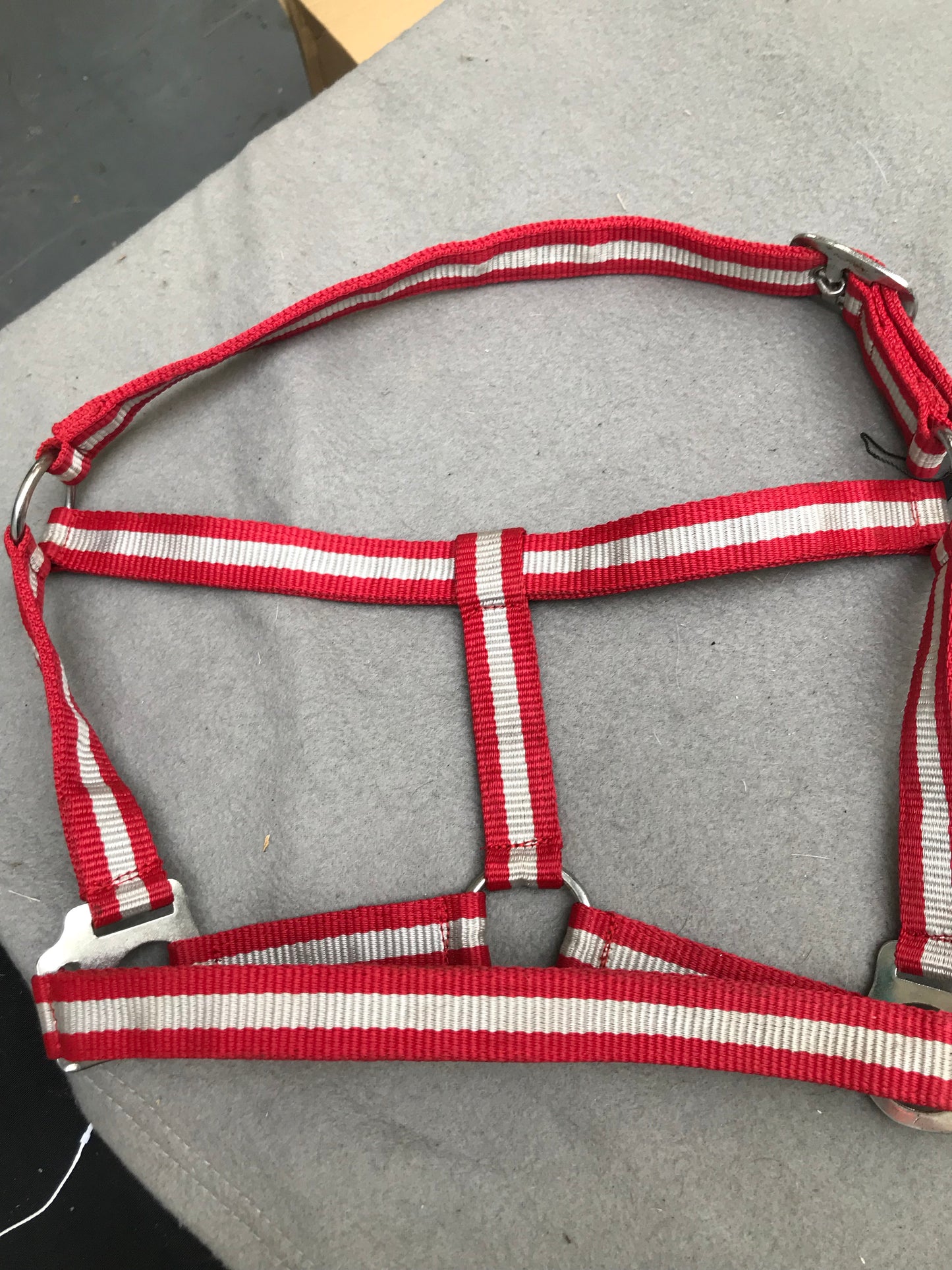 Wessex red and silver pony size head collar FREE POSTAGE ■