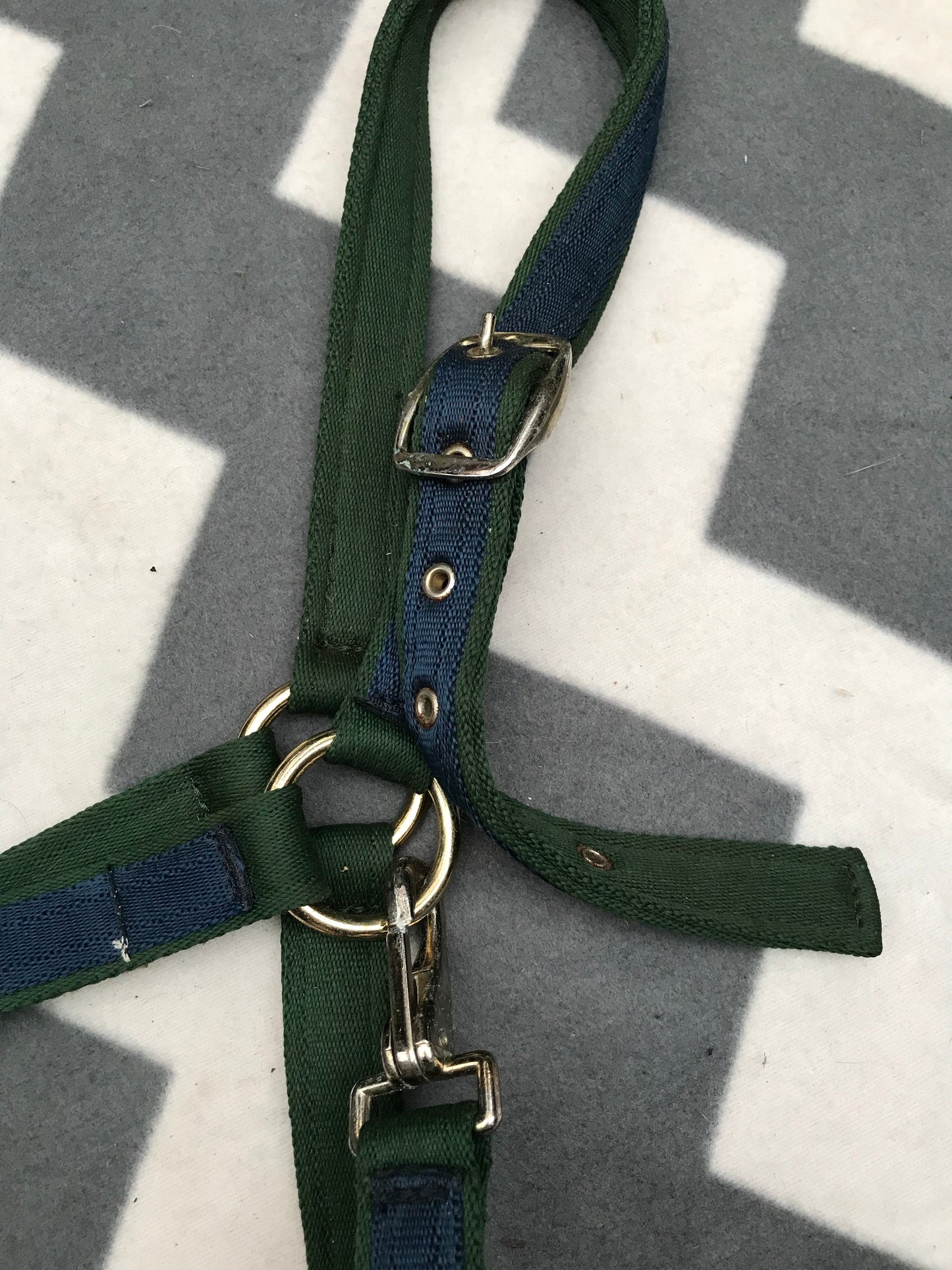 Shires full size green and navy head collar