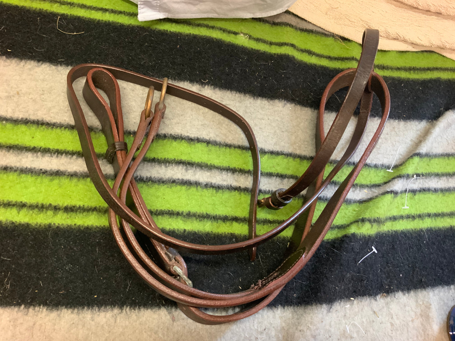 Brown leather running martingale.