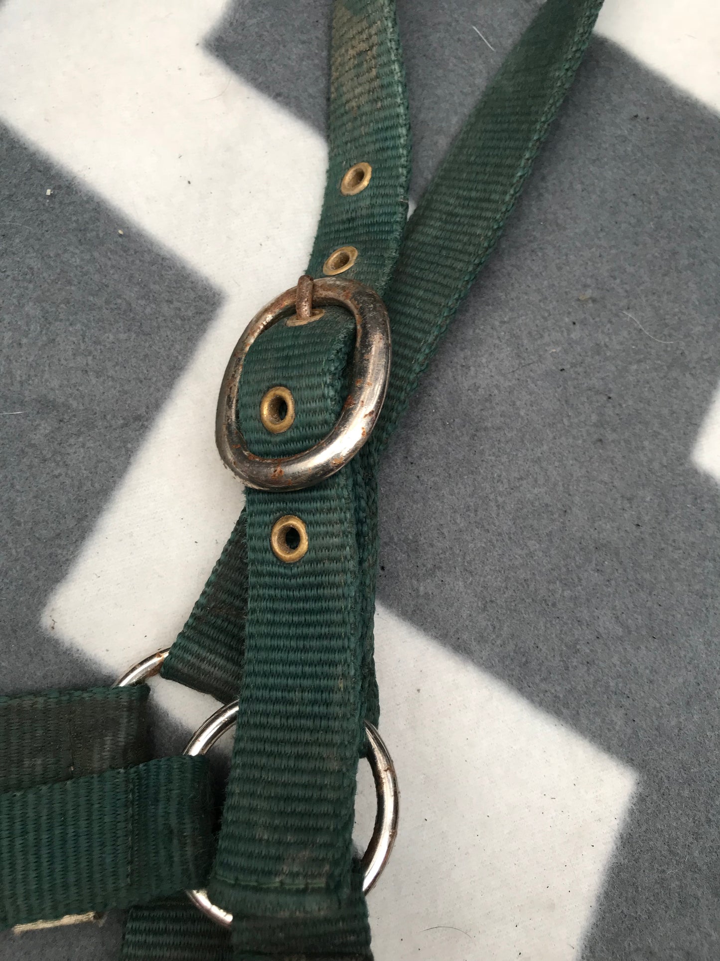 Green full size head collar