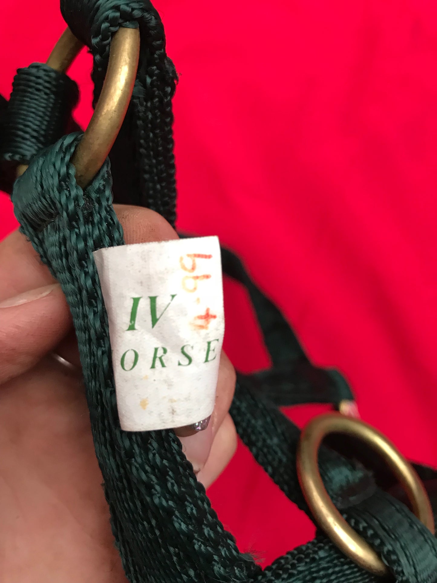 Green IV horse Shetland Head Collar