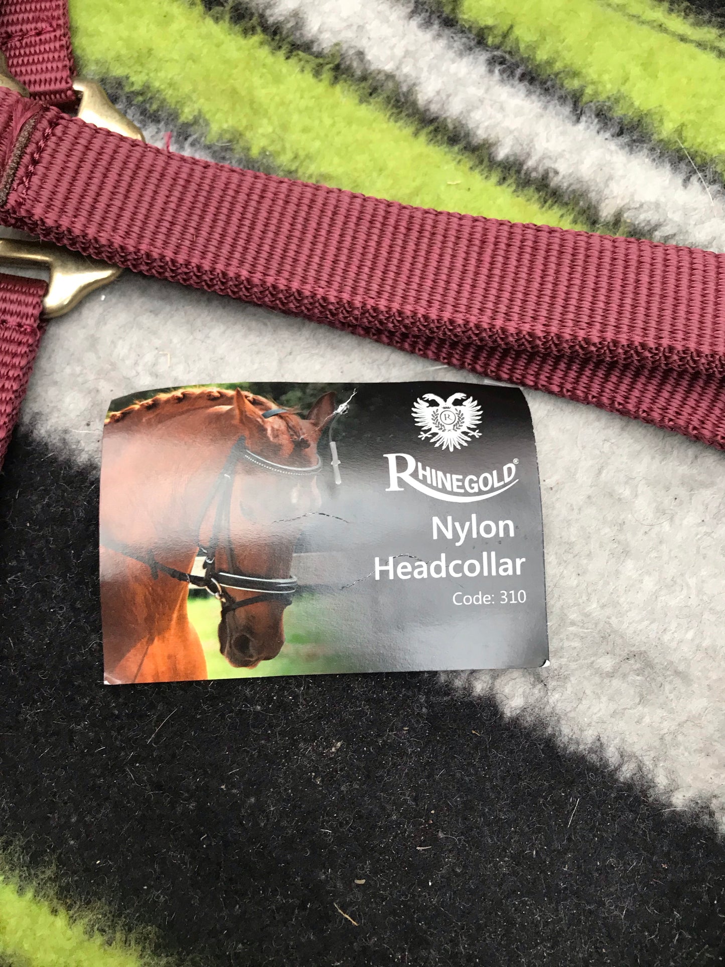new rhinegold burgundy head collar full size