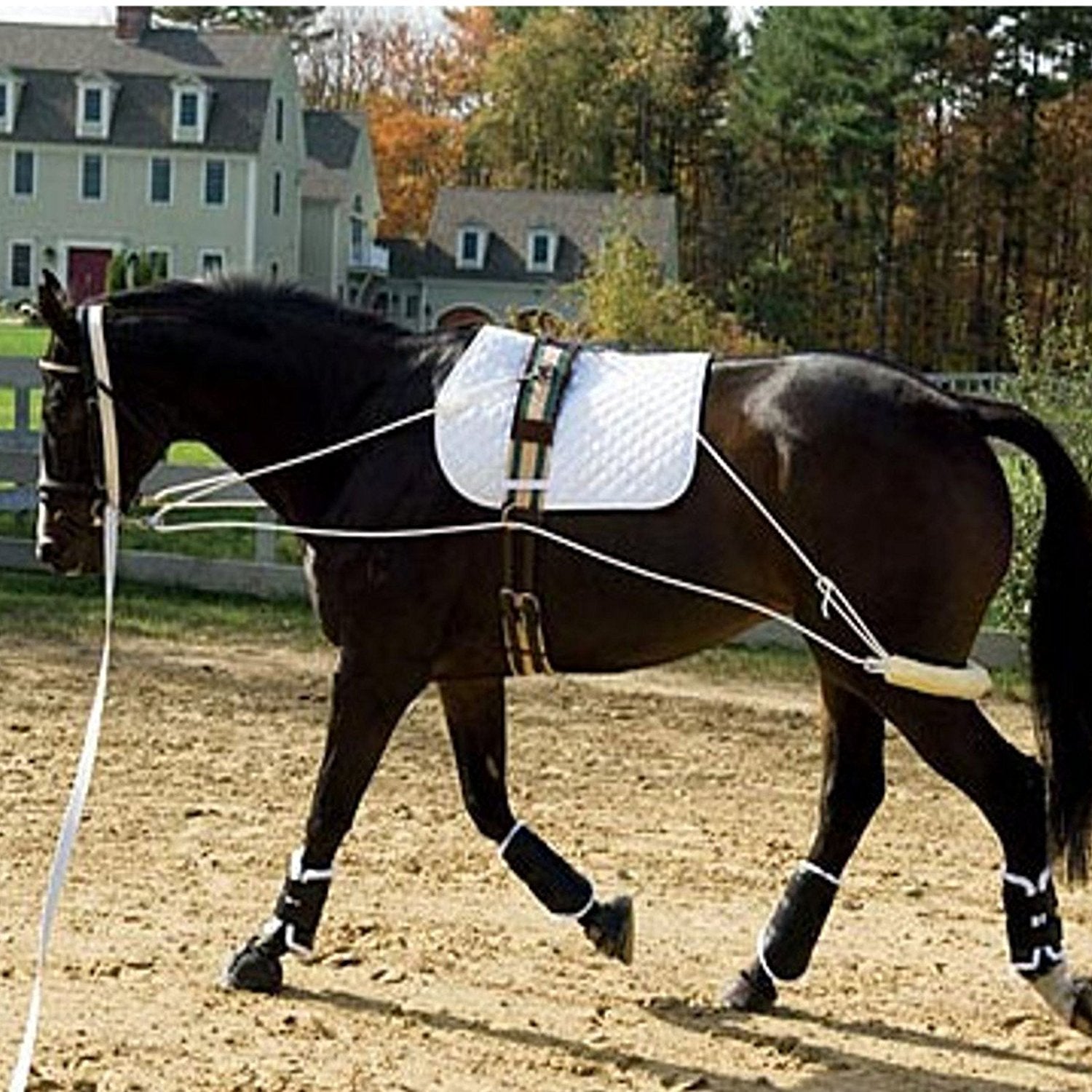 Rollers *side reins * lunge lines * training aids etc