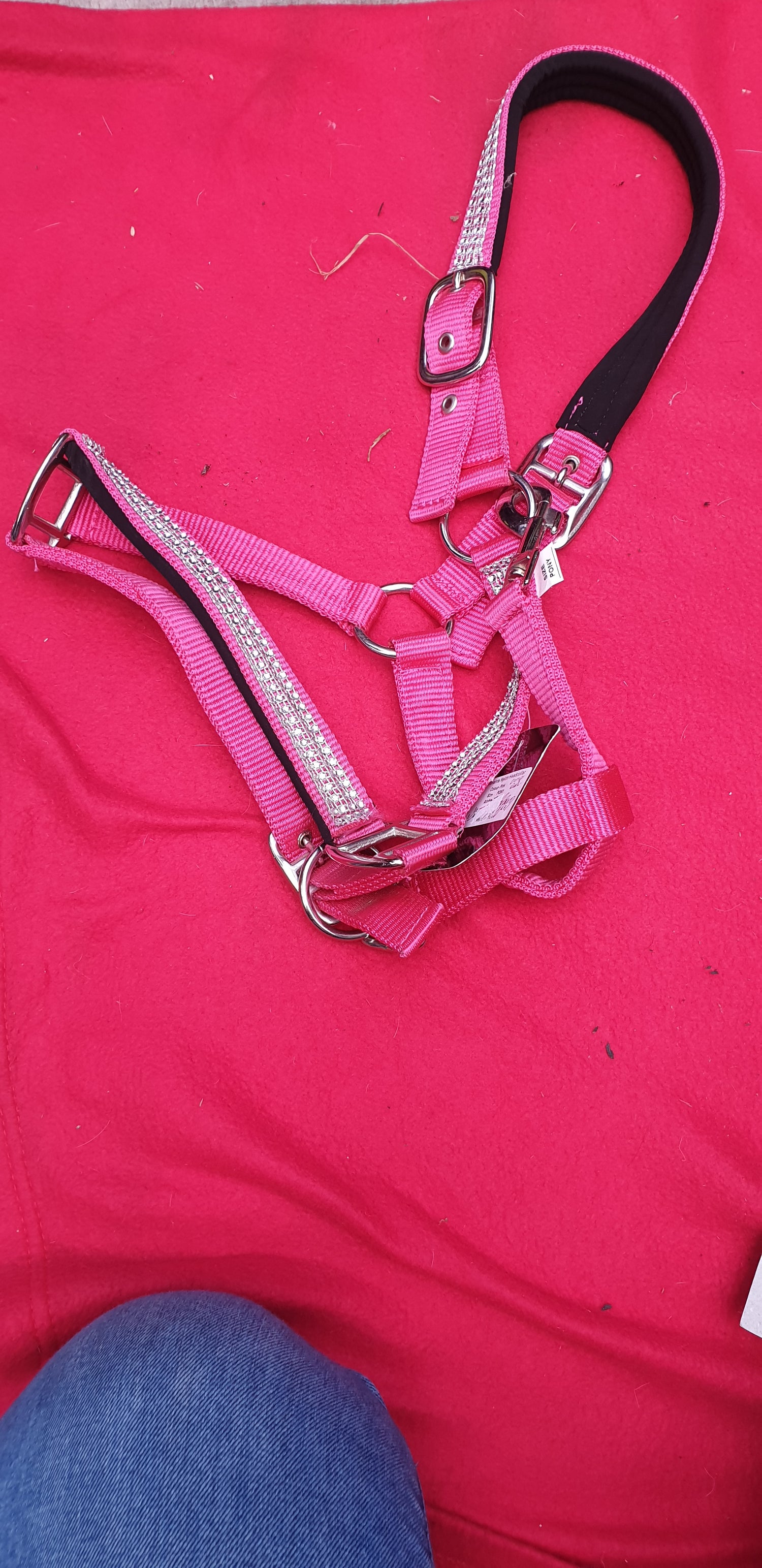 Pony size head collars