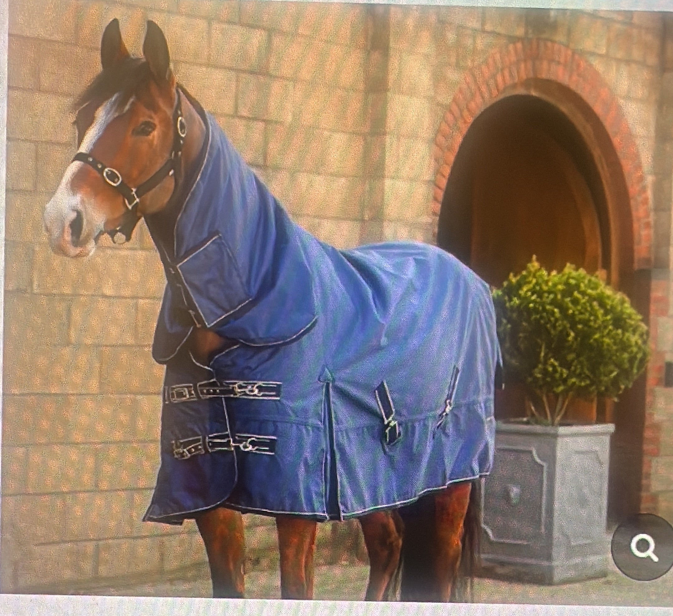 Turnout rugs Outdoor rugs rain sheets 🟢 – Onthehoof