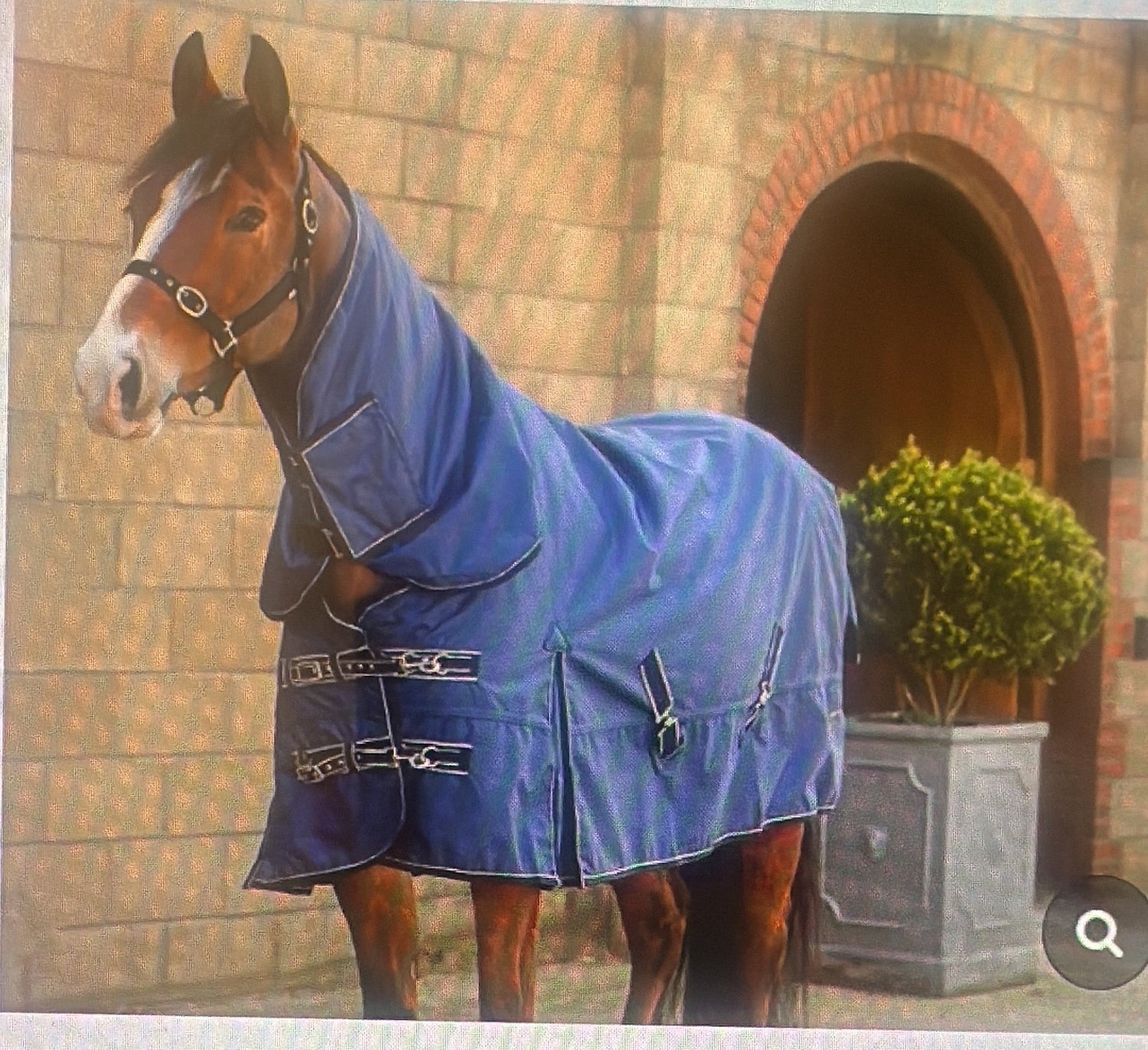 Turnout rugs Outdoor rugs rain sheets 🟢