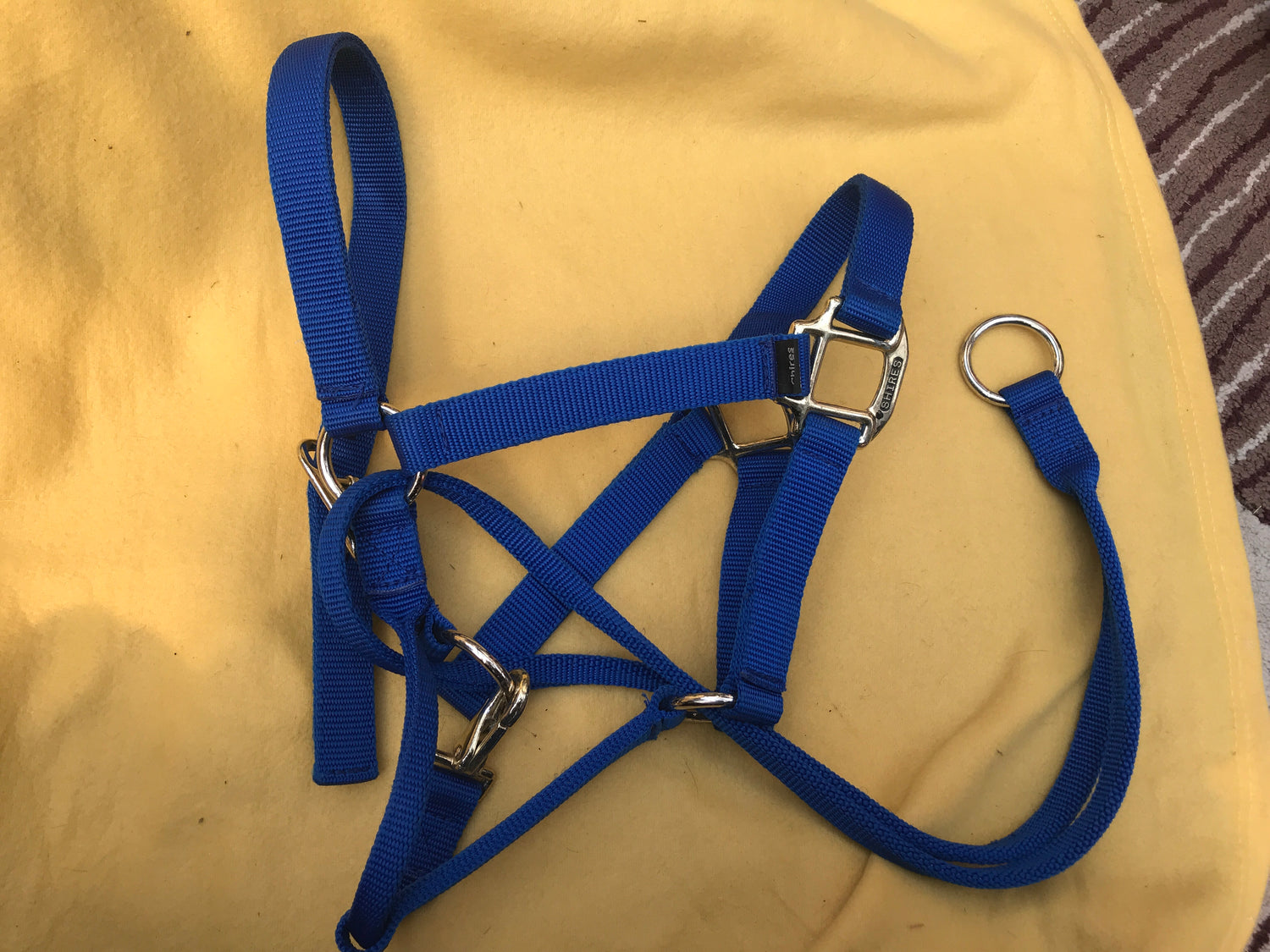 Control head collars and pressure halters