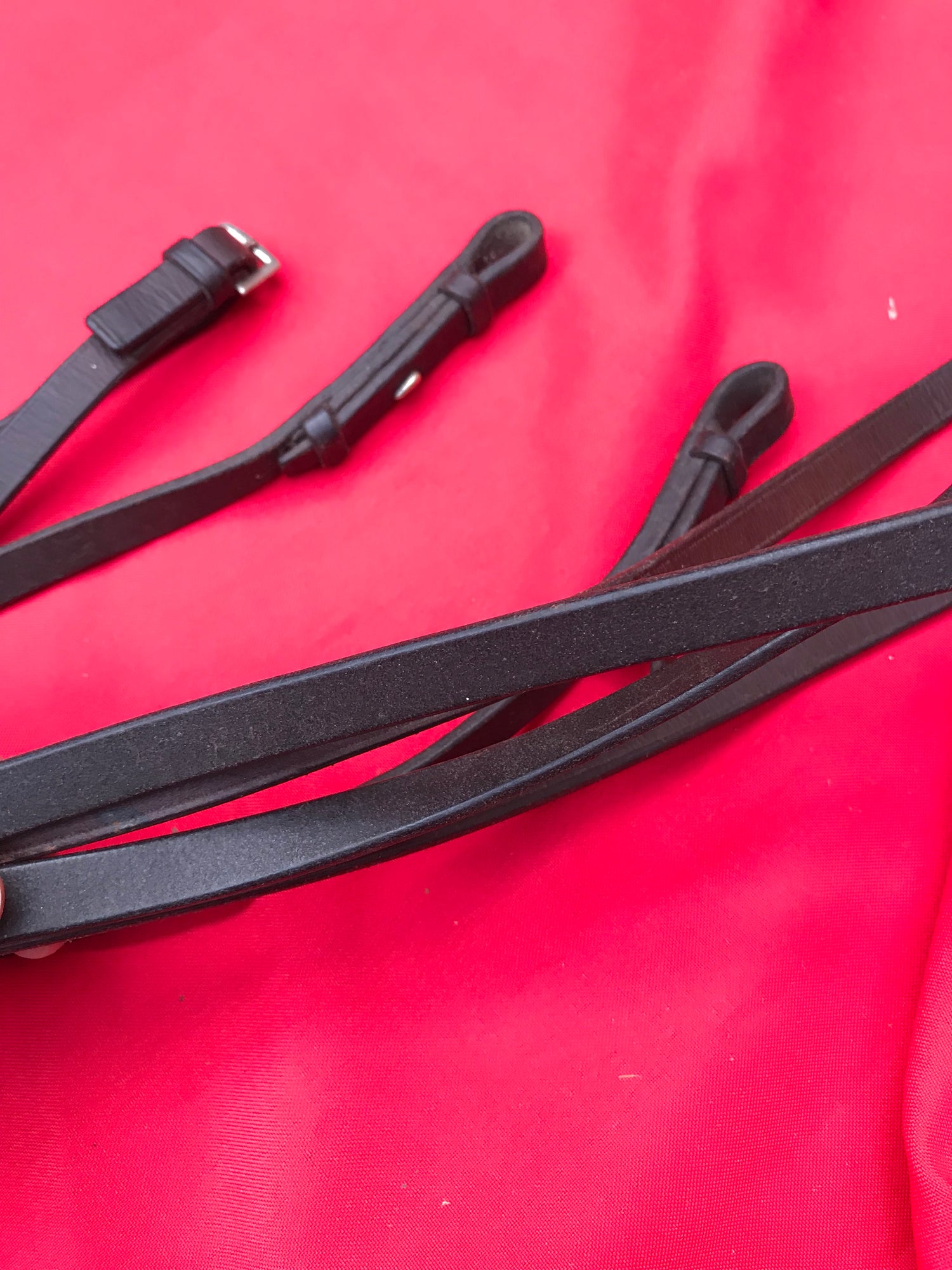 Reins