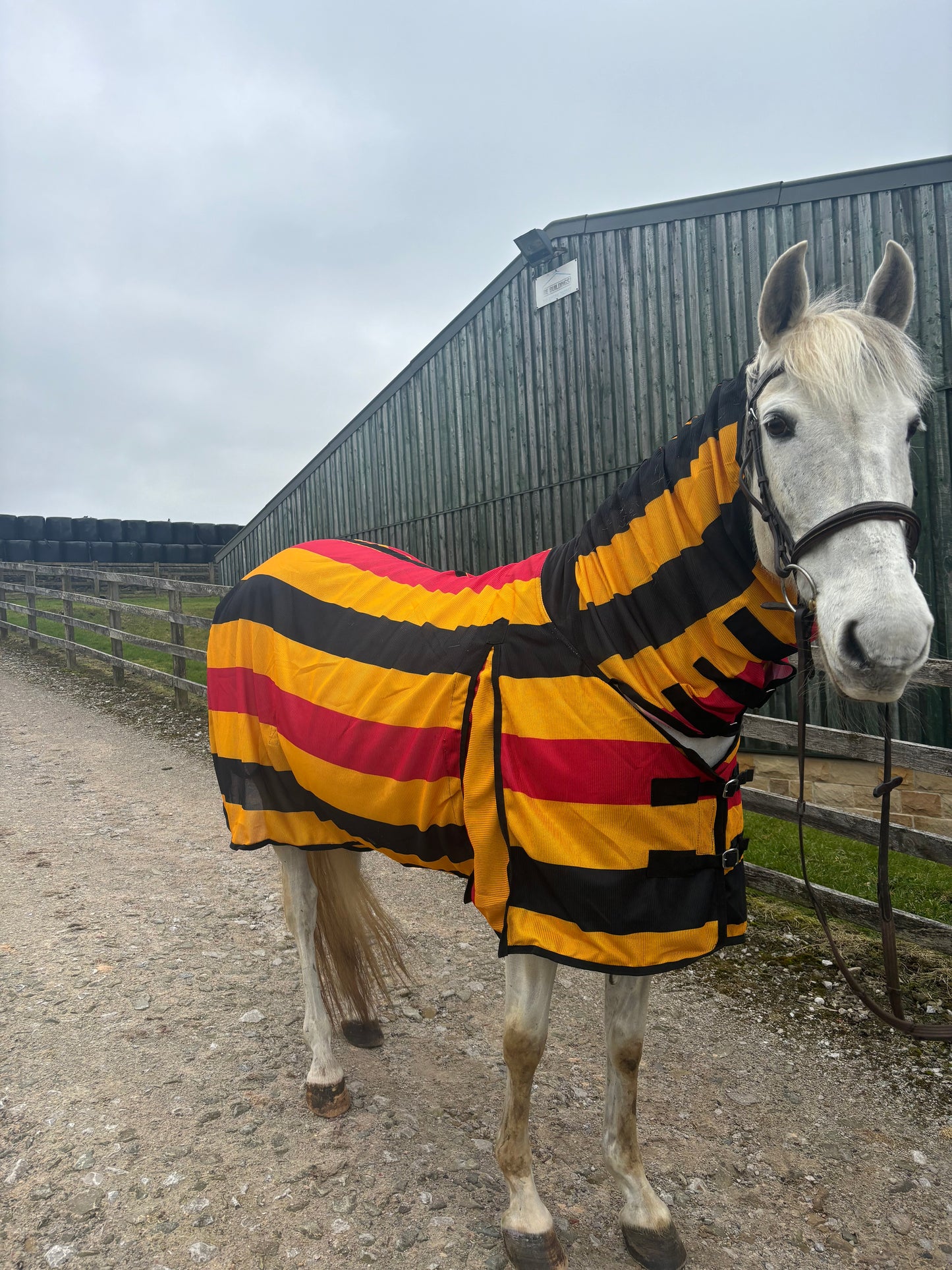 New Newmarket style combo fly rugs complete with matching fly mask❣️