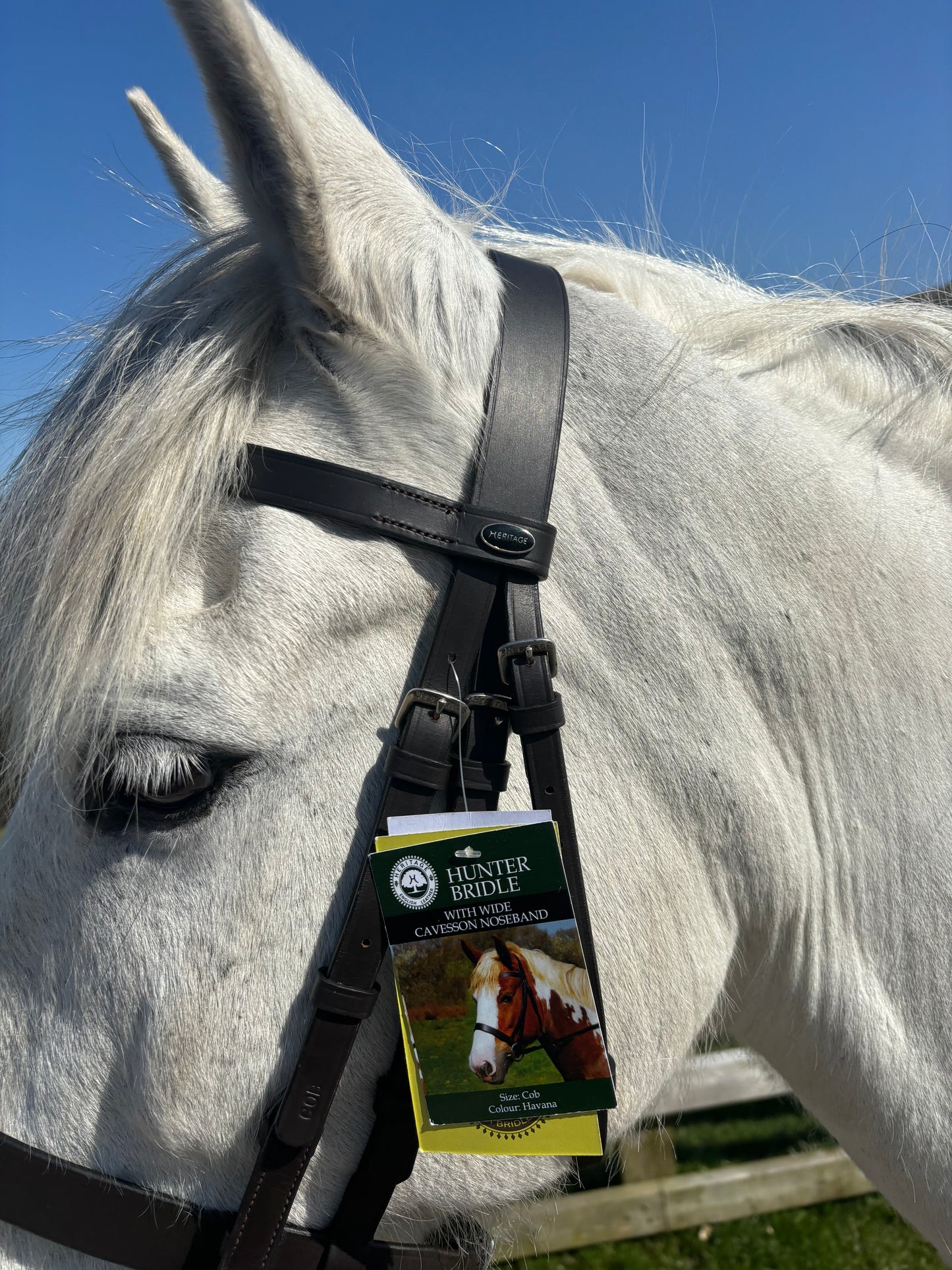 New heritage saddlery English leather hunter bridle ❣️