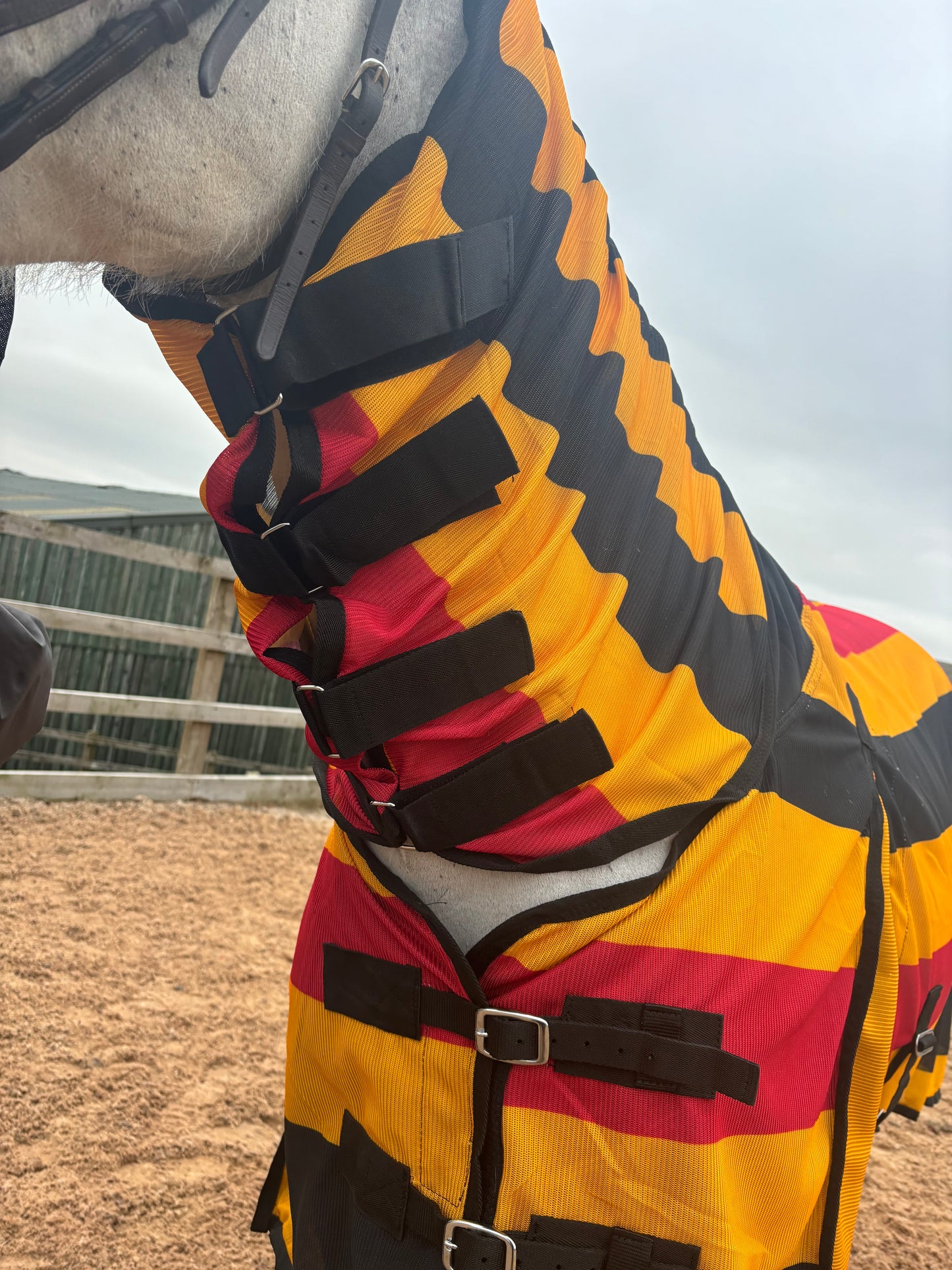 New Newmarket style combo fly rugs complete with matching fly mask❣️