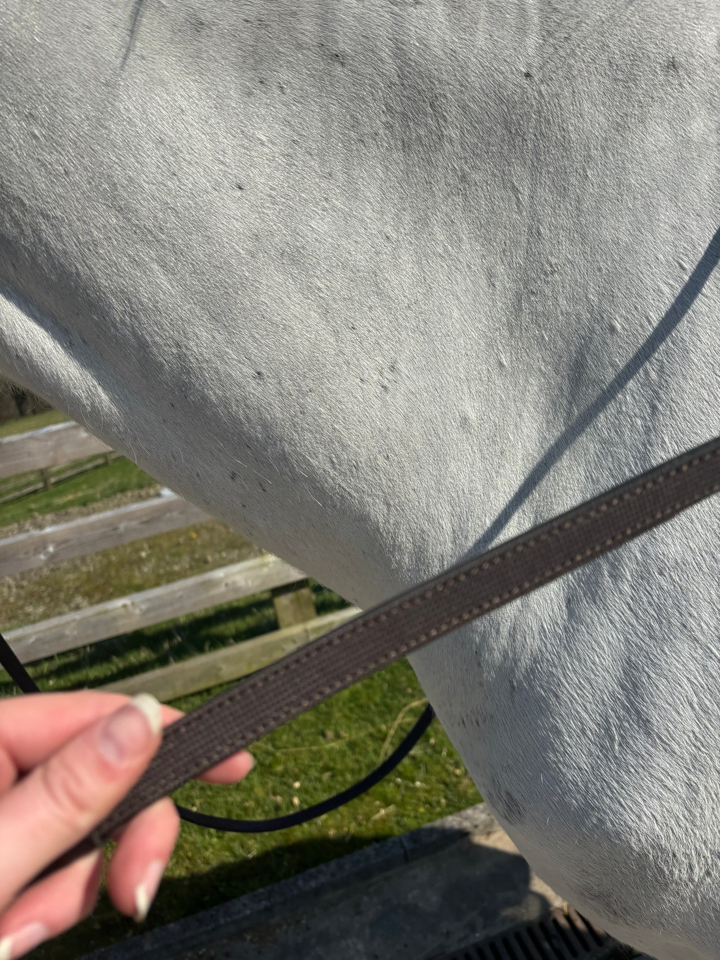 New heritage saddlery English leather hunter bridle ❣️