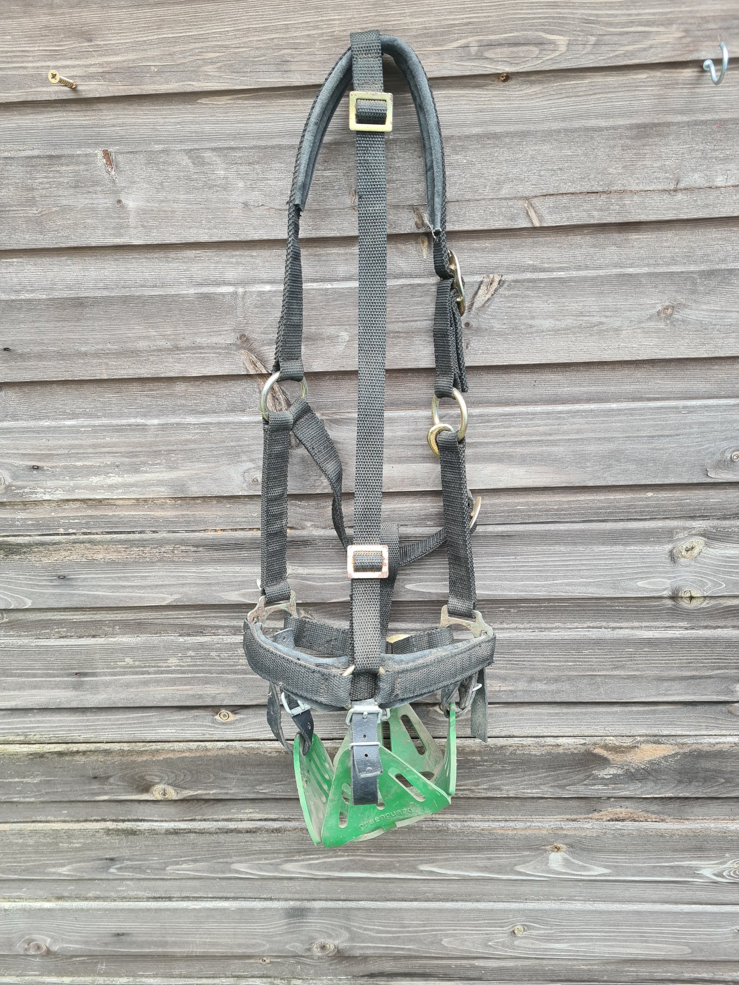 Pony greenguard muzzle