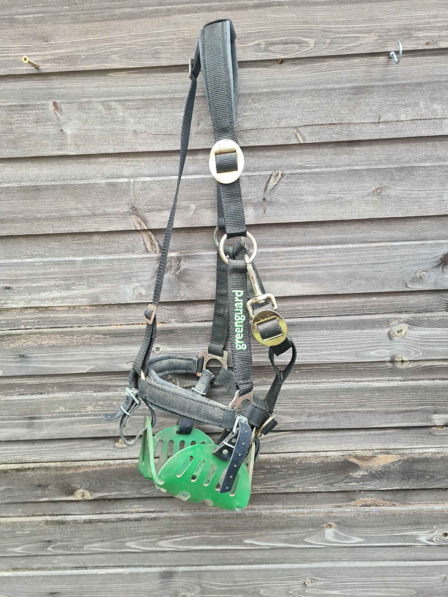 Pony greenguard muzzle