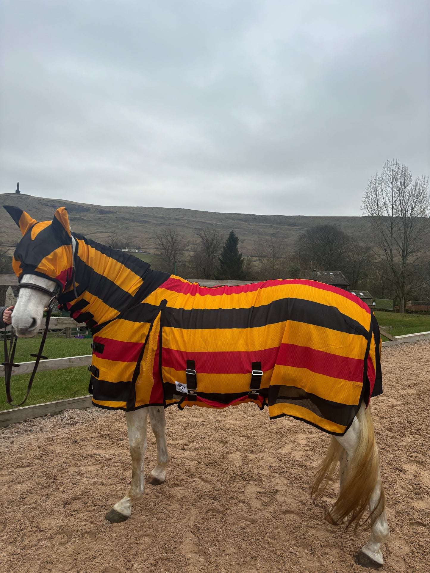 New Newmarket style combo fly rugs complete with matching fly mask❣️