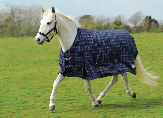 New navy and red checked 350g turnout rug❣️