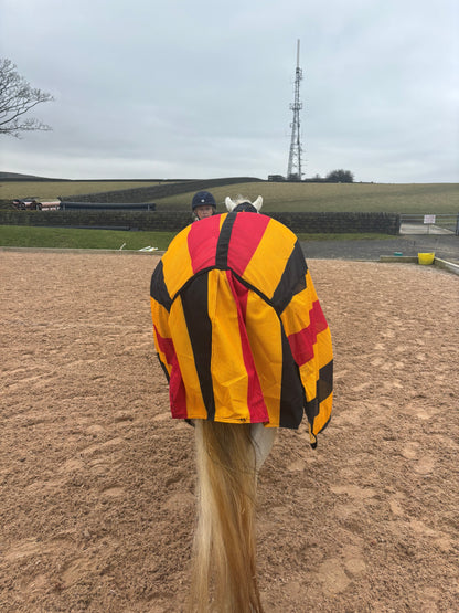 New Newmarket style combo fly rugs complete with matching fly mask❣️
