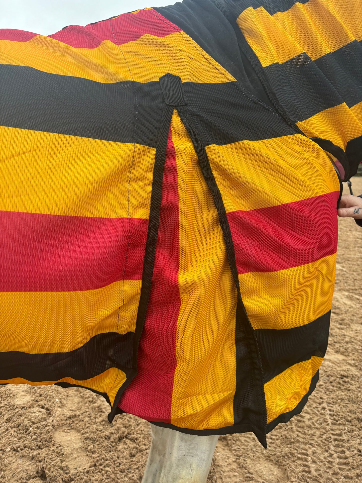 New Newmarket style combo fly rugs complete with matching fly mask❣️