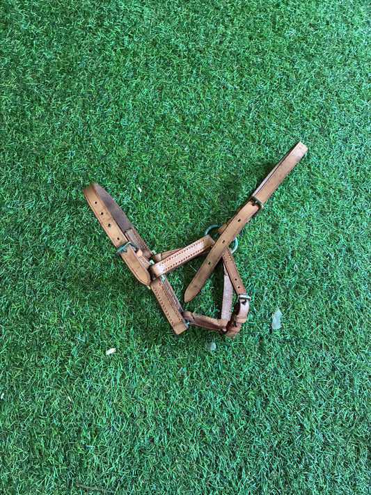 Light brown leather foal head collar ❤️