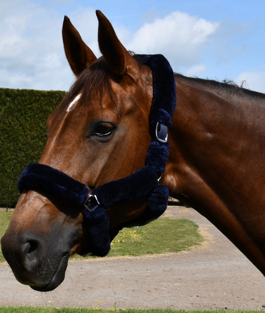 New fleece padded fluffy head collars ❣️