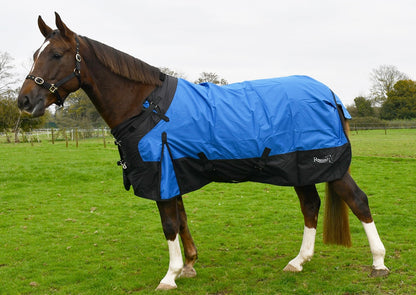 New rhinegold phoenix adjustable 50g turnout rug❣️